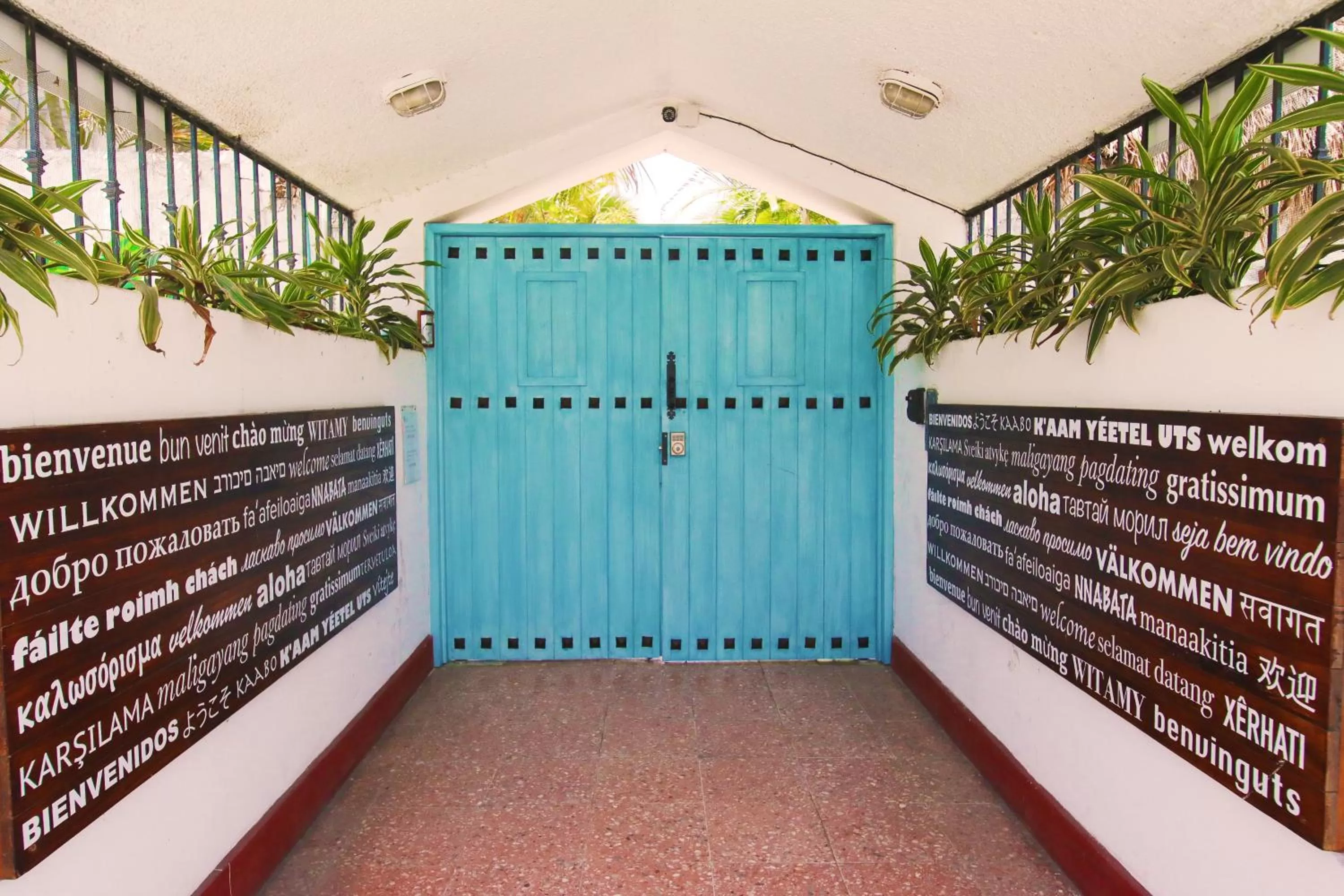 Facade/entrance in Hotel Villas Colibrí Suites & Bungalows