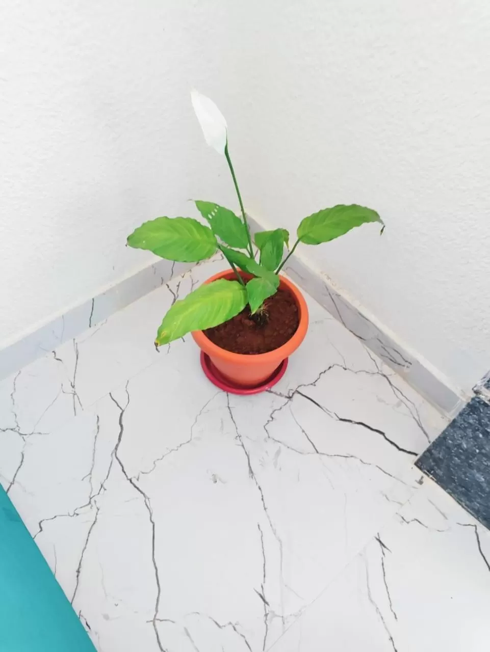 Property building in Keerthis Royal Suites - Hotel Near Kempegowda International Airport