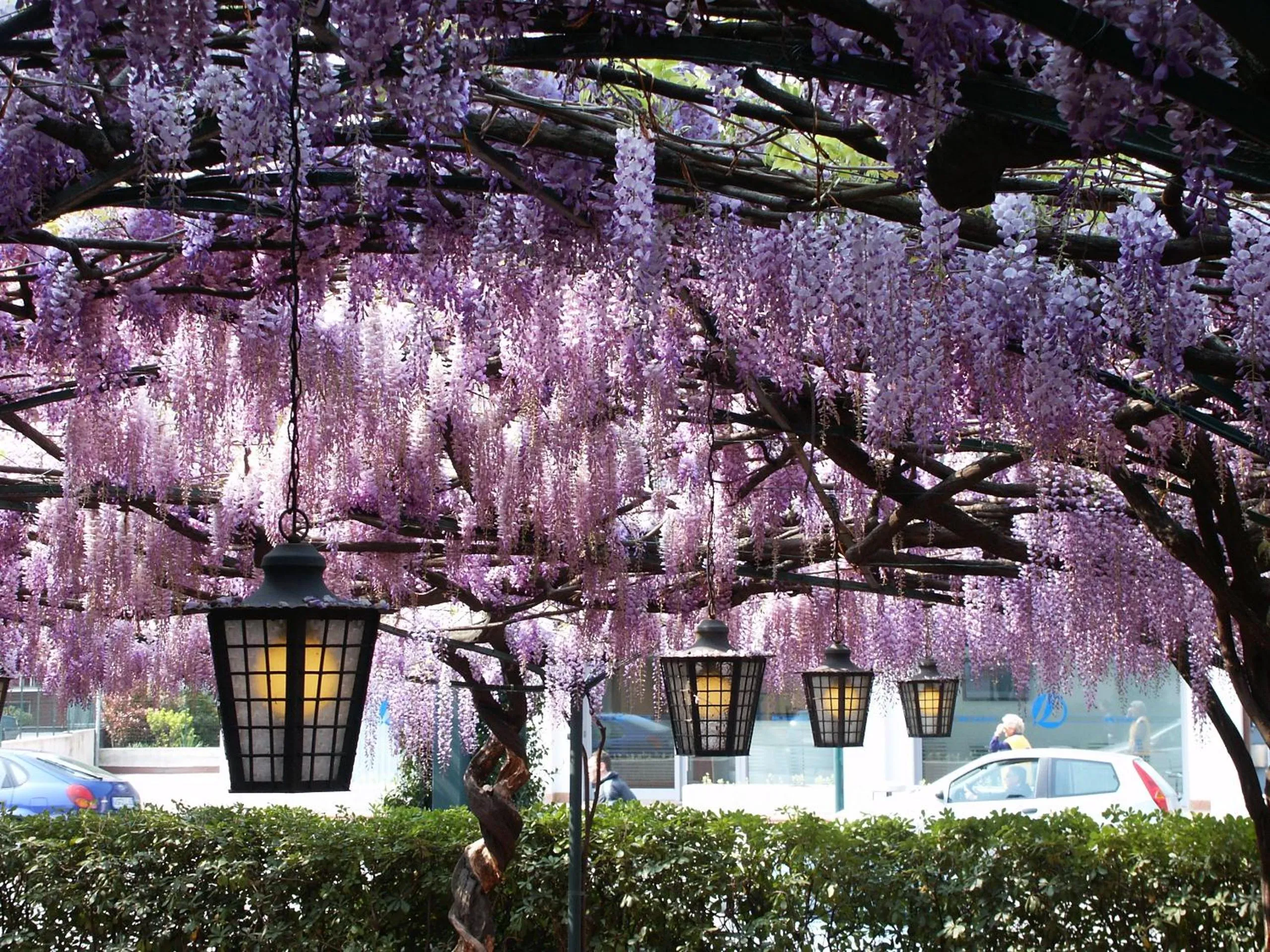 Garden in Albergo Ristorante Papa
