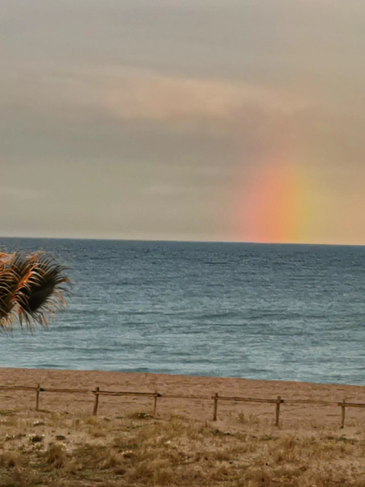 Hotel de la Plage - Barcares