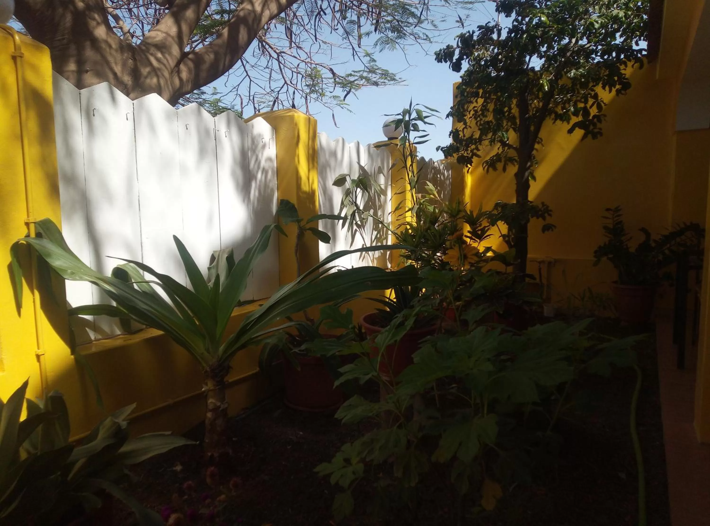 Garden, Property Building in O Jardim do Vinho