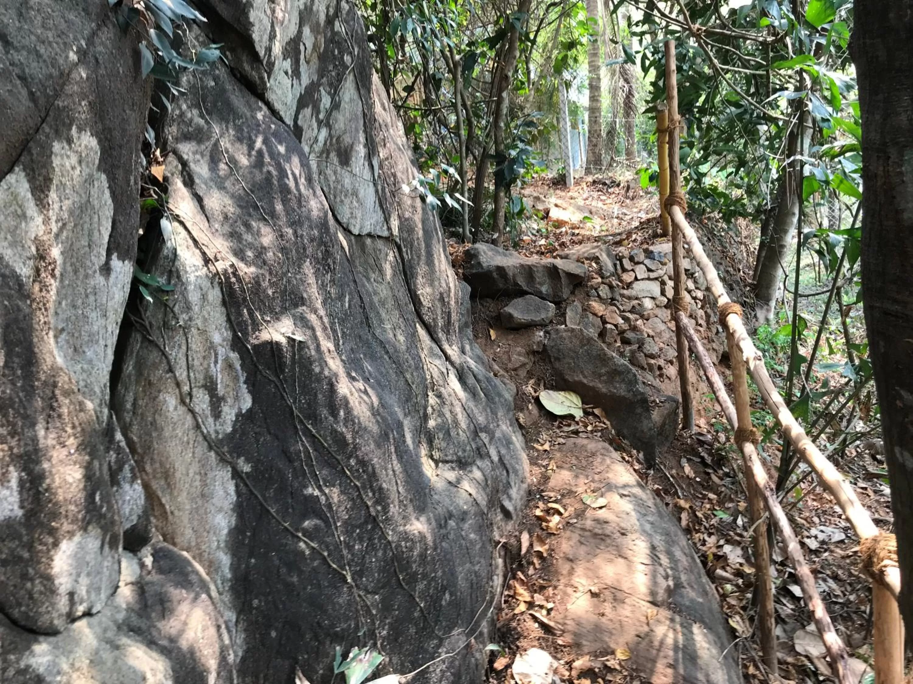 Natural landscape in Le Candles Resort