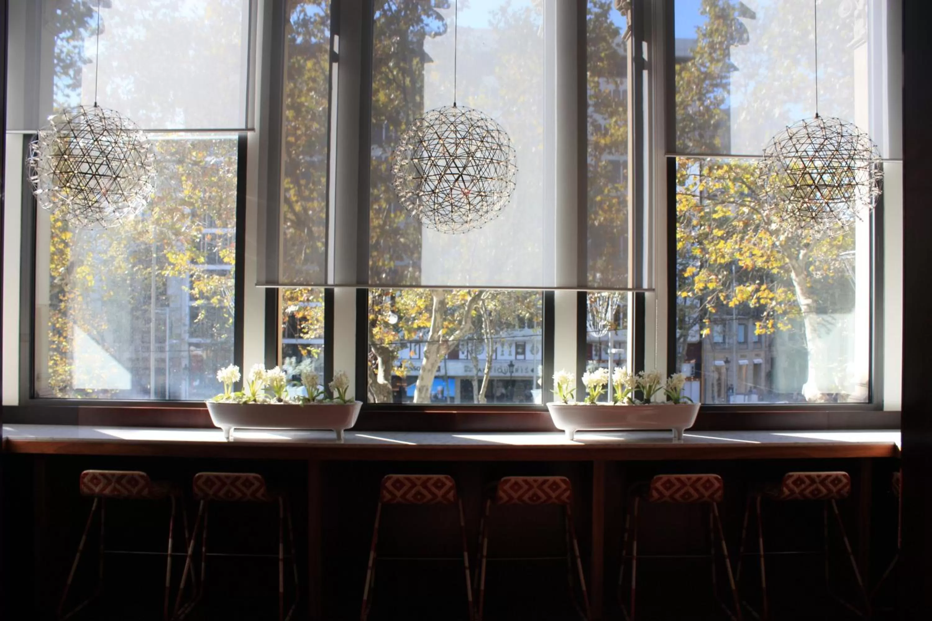 Lounge or bar in Sixtytwo Hotel