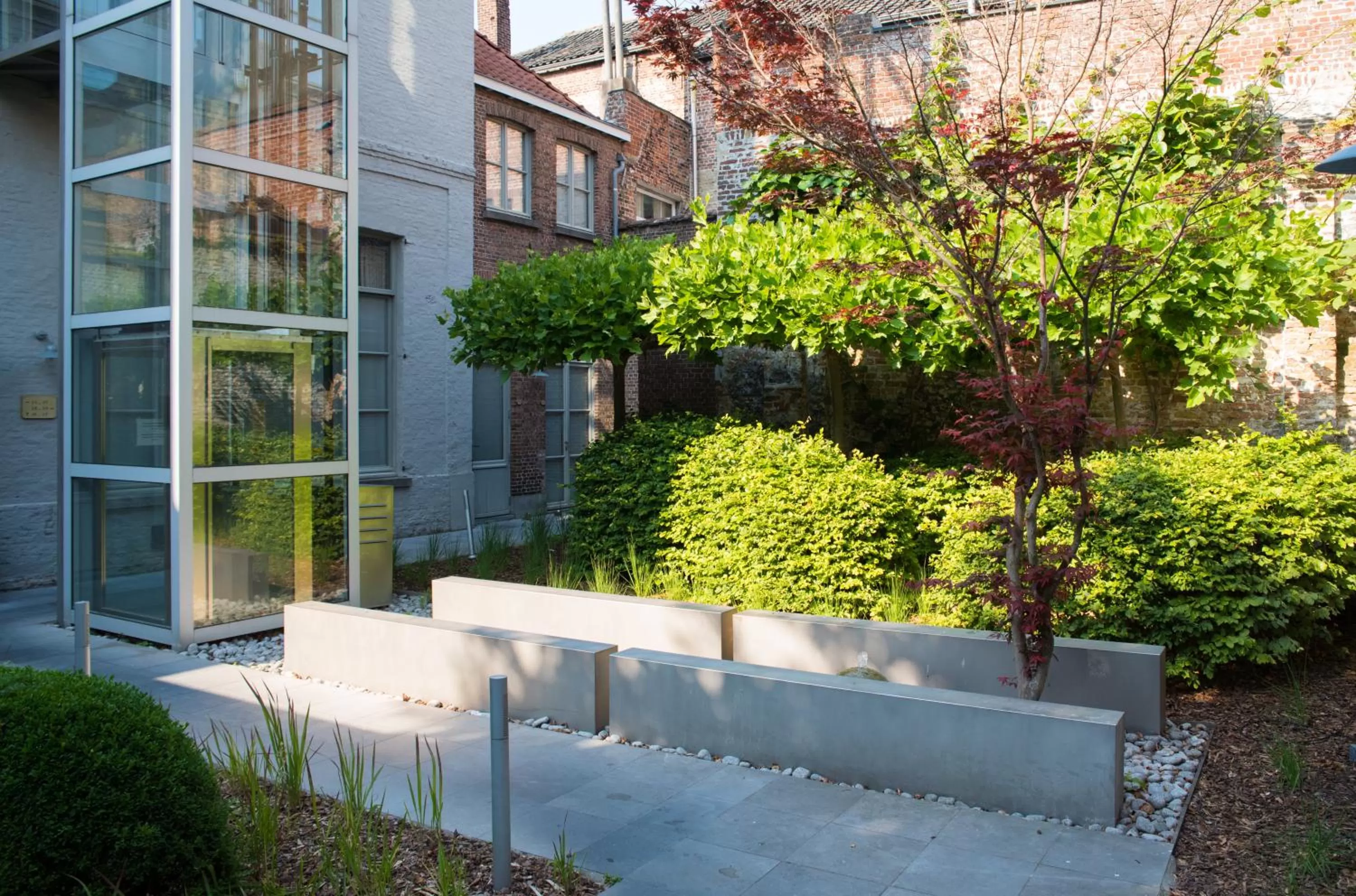 Garden in Hotel Jan Brito