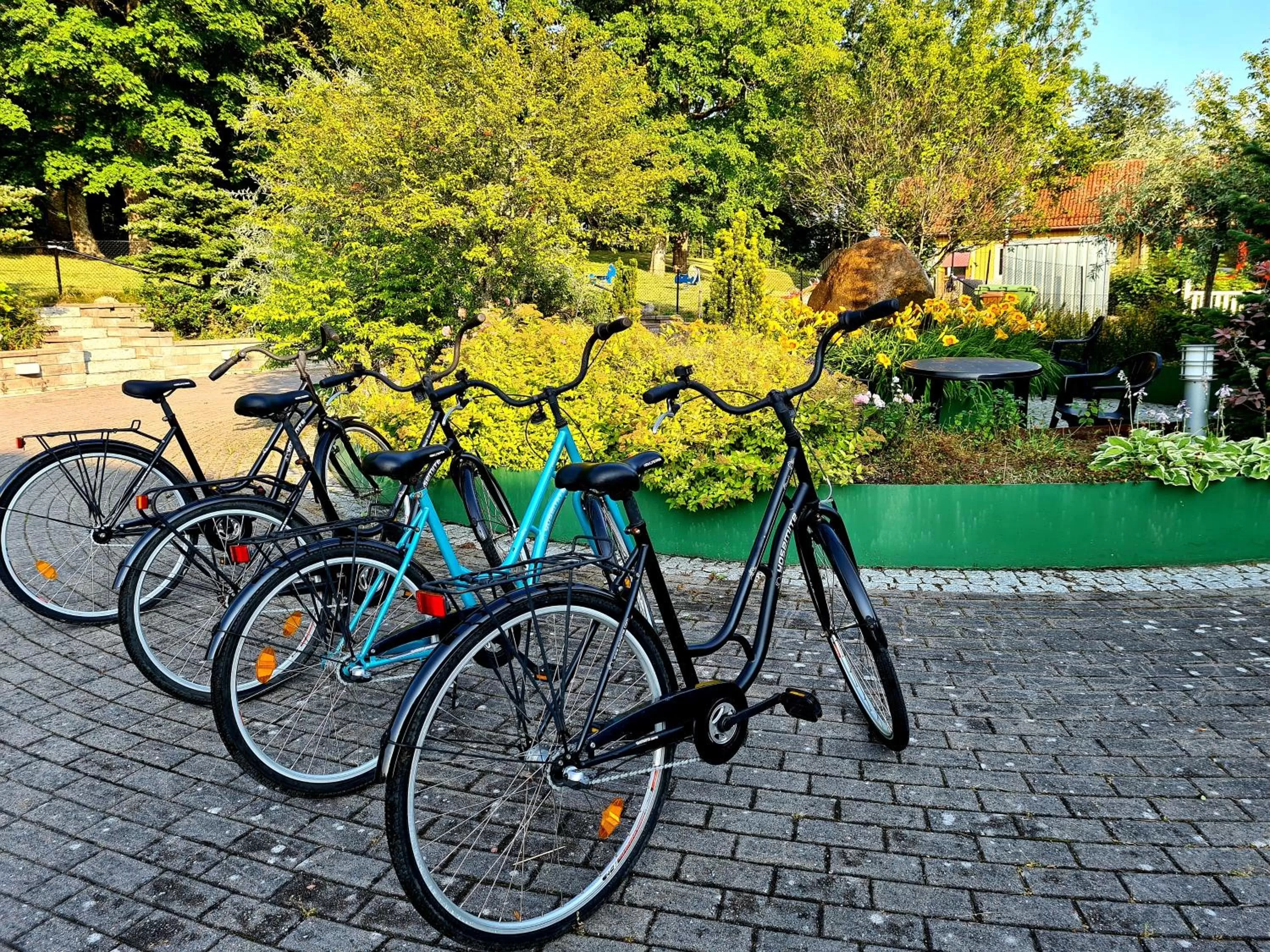 Activities in Dagsholm Hotell