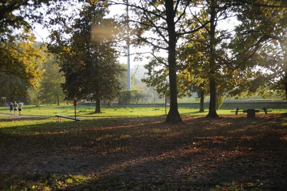 Natural landscape in Albavillage Rooms & Camping