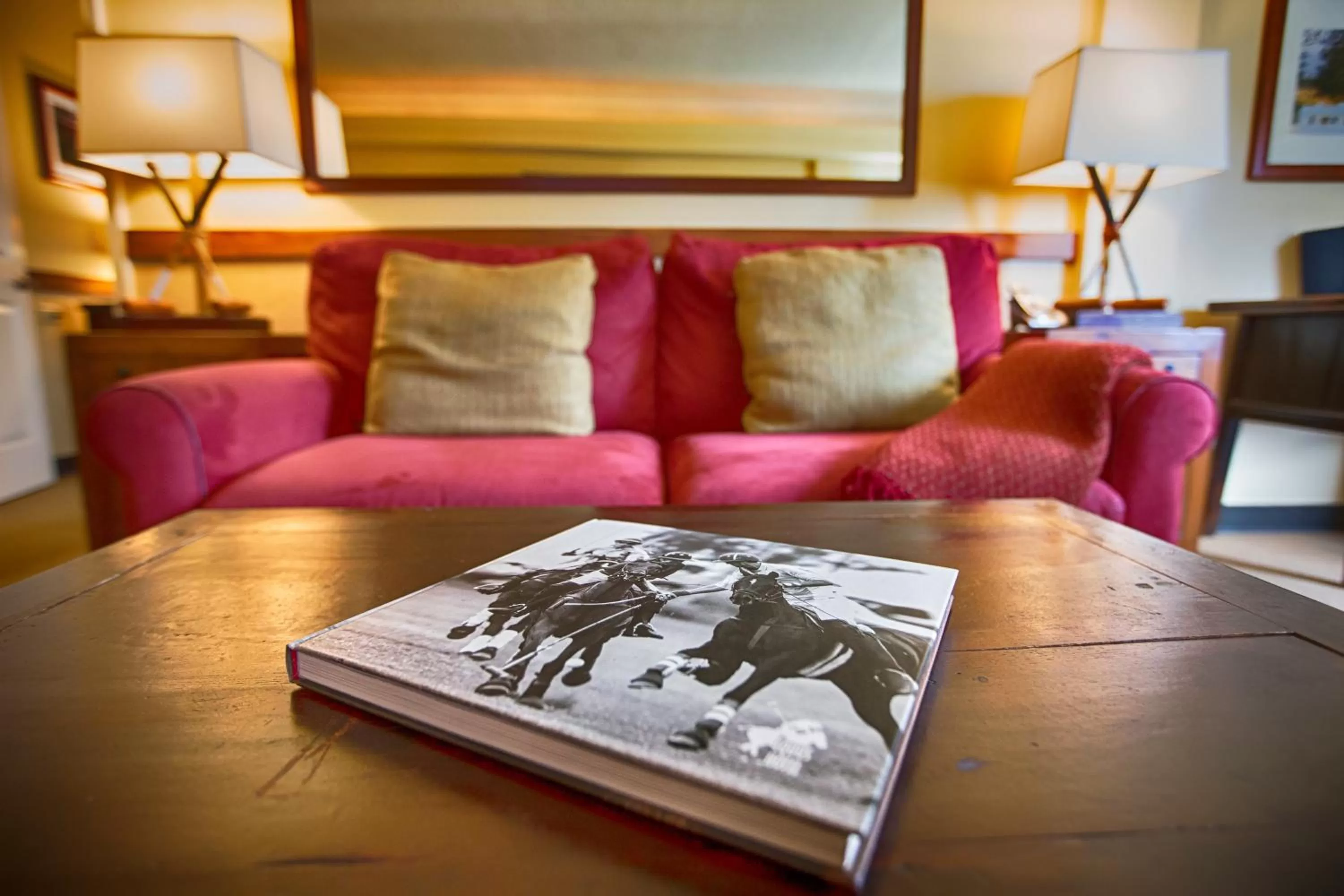 Living room in The Equus