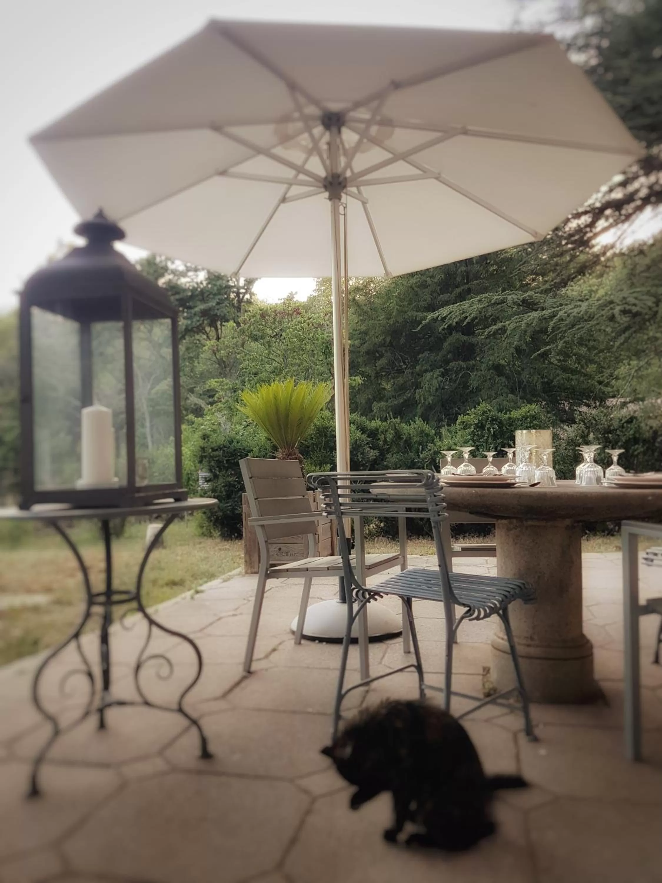 Dinner, BBQ Facilities in Le Domaine Saint Martin