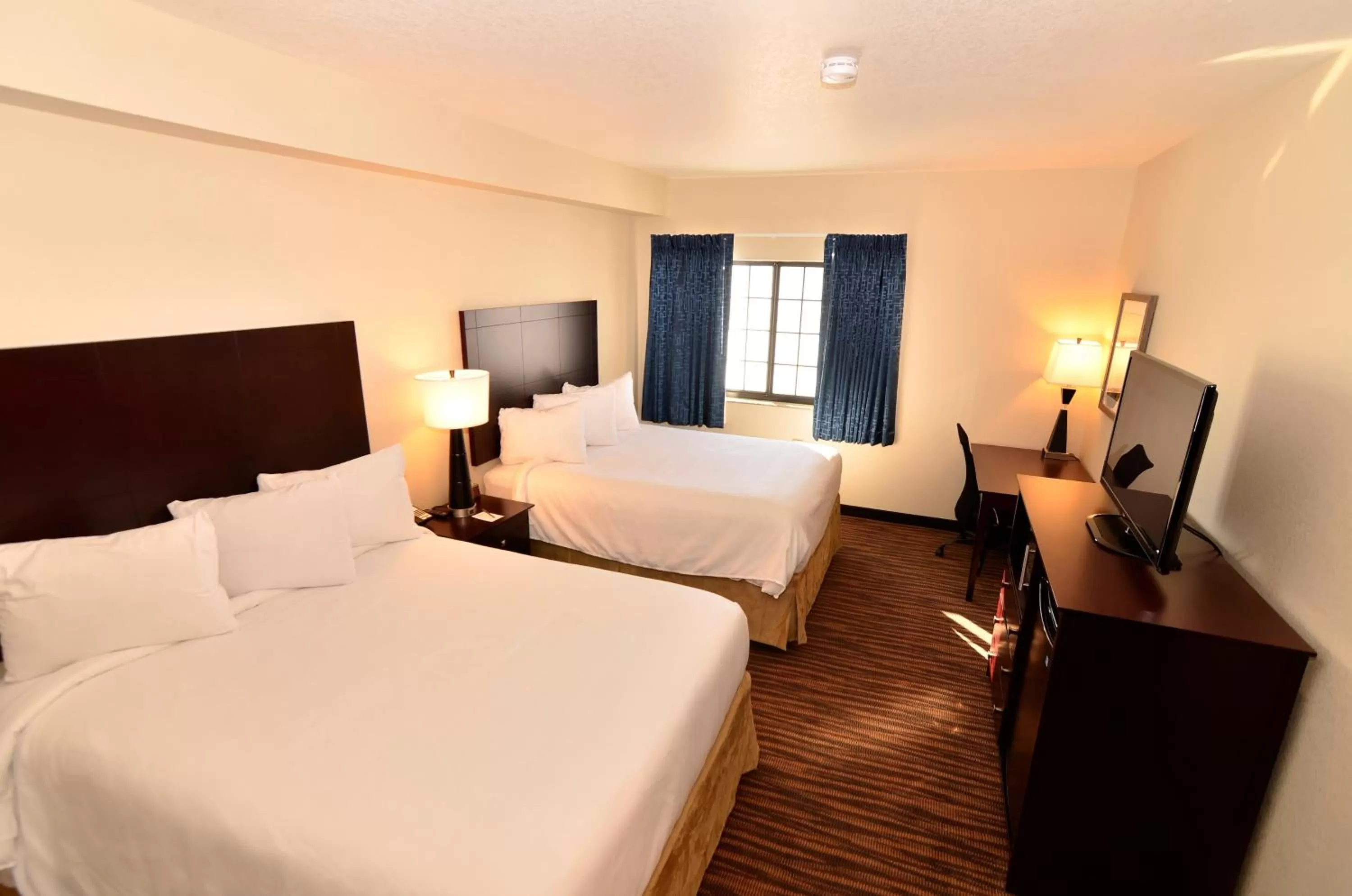 Queen Studio in Cobblestone Inn & Suites - Holstein