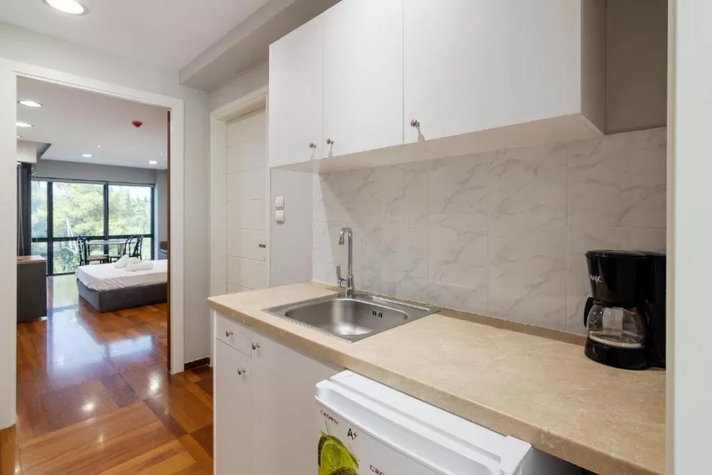 Kitchen or kitchenette in Arditou Akropolis Apartments-Suites