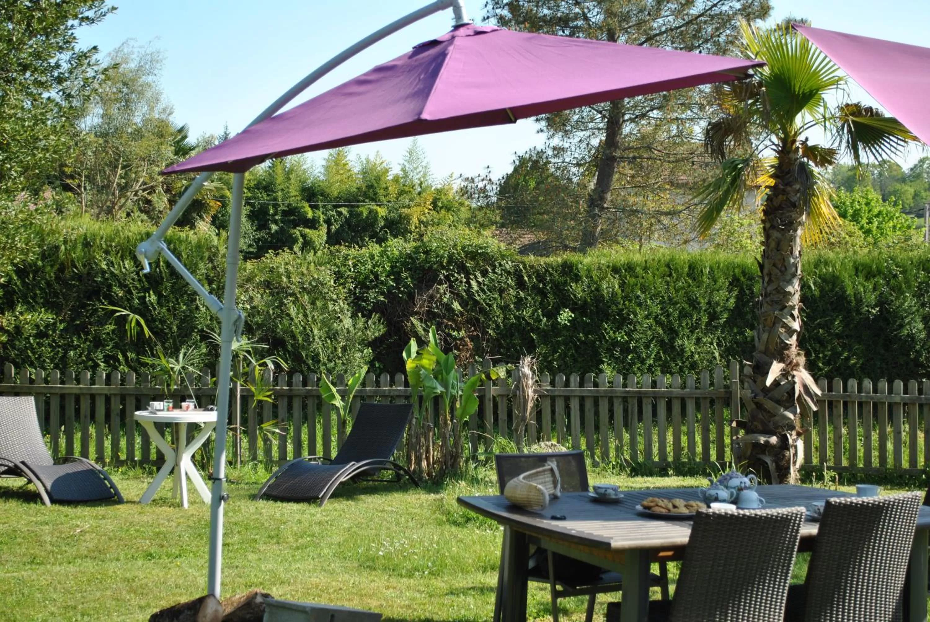 Garden in Villa Hortebise