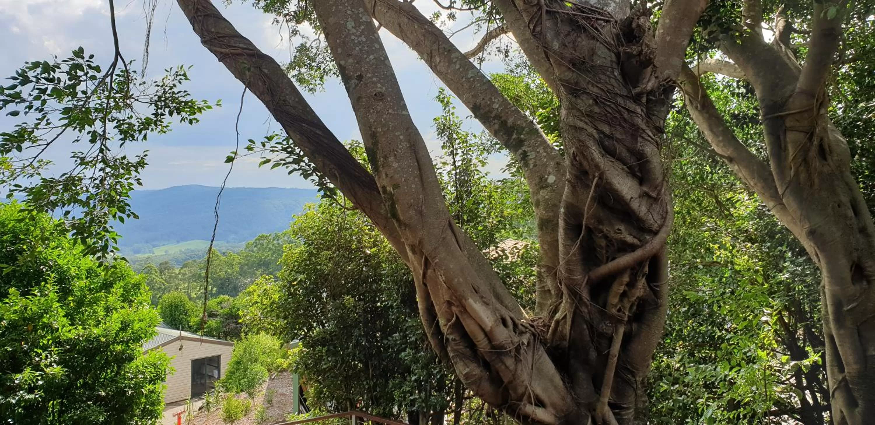 Natural landscape in Tranquil Park
