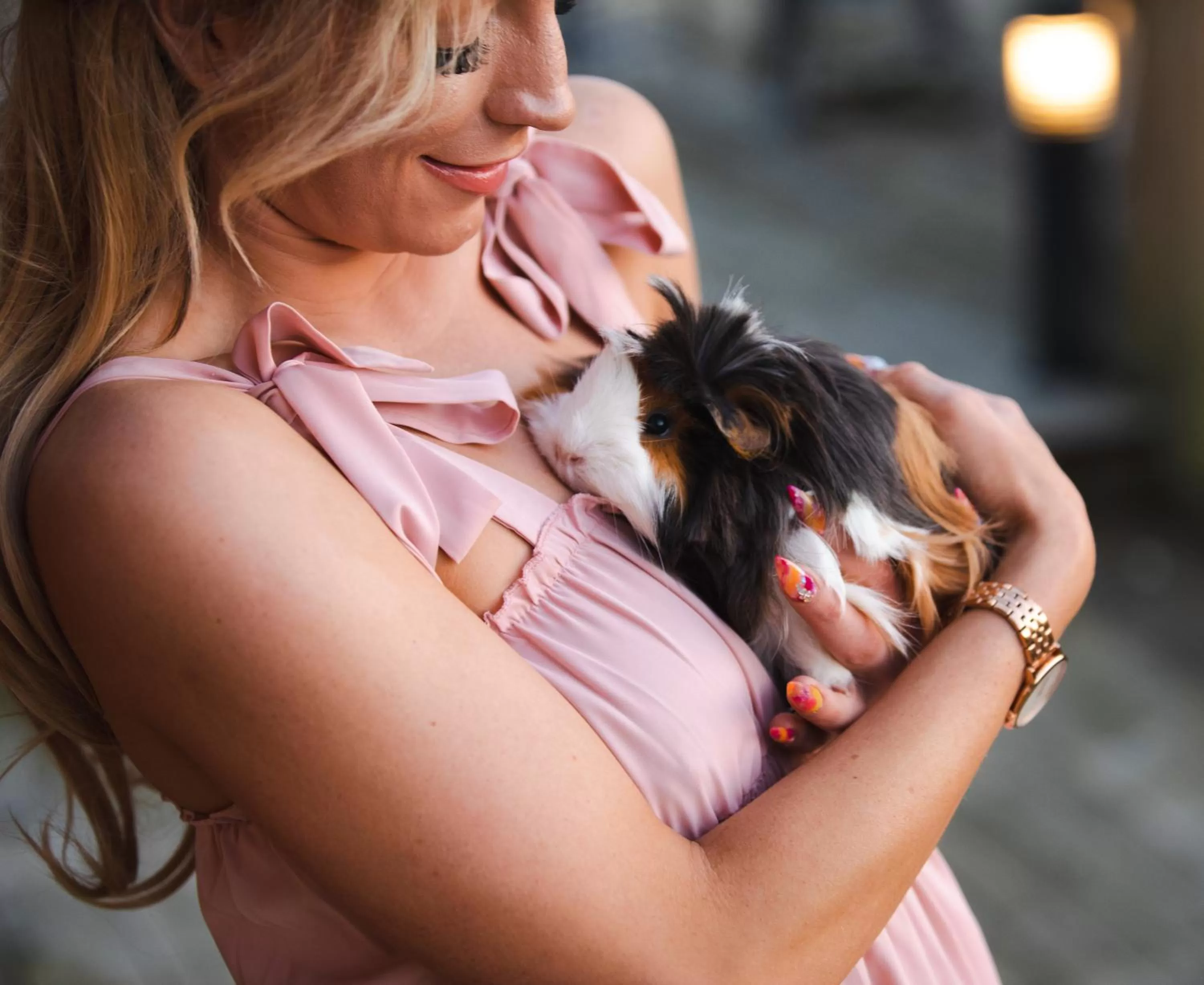 Pets in The Rivers Arms