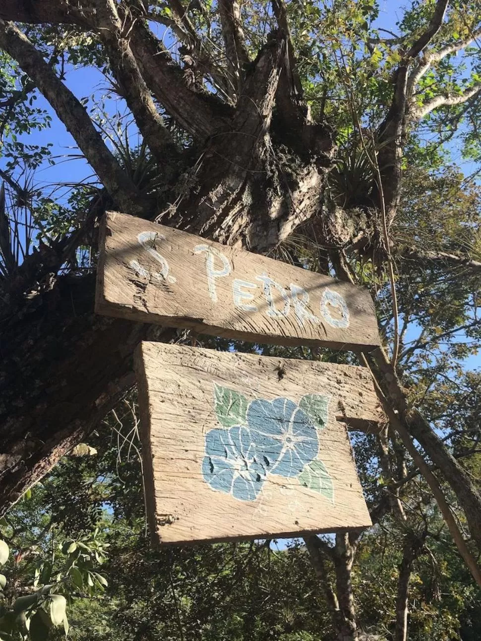 Property logo or sign in Finca San Pedro