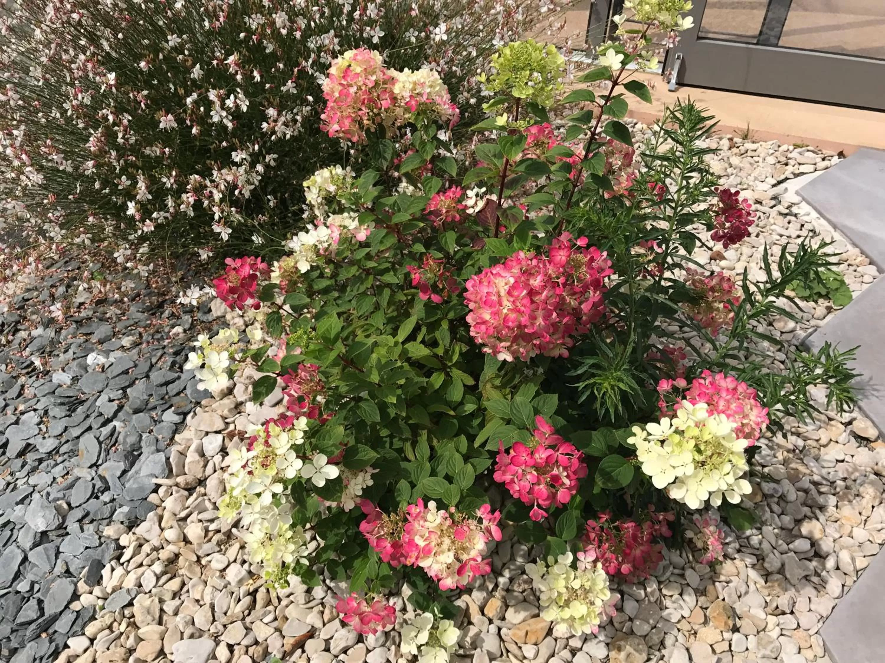 Garden in Kyriad Dol-de-Bretagne