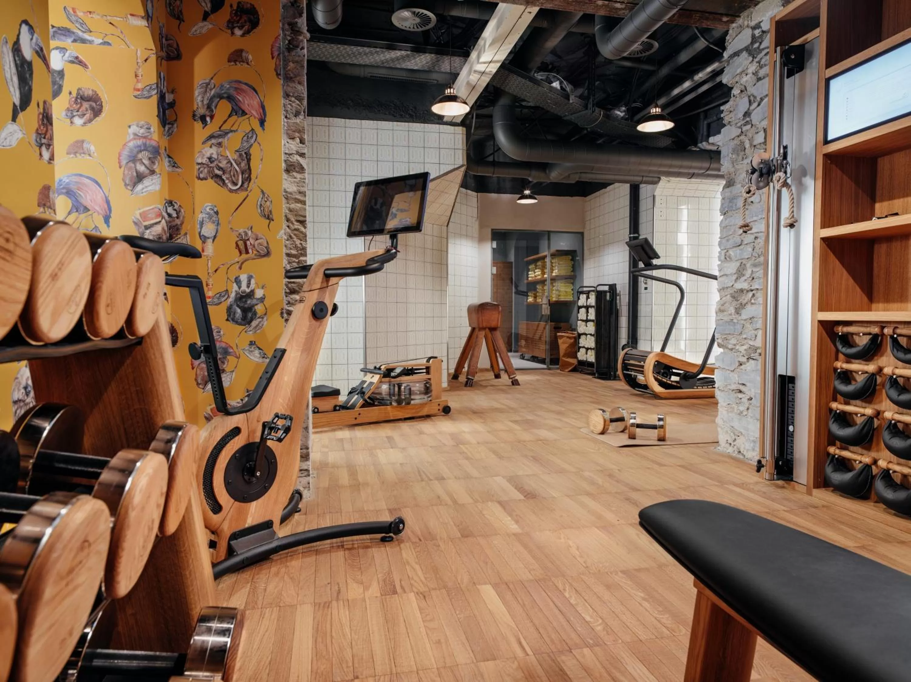 Fitness centre/facilities in BEAUSiTE Zermatt