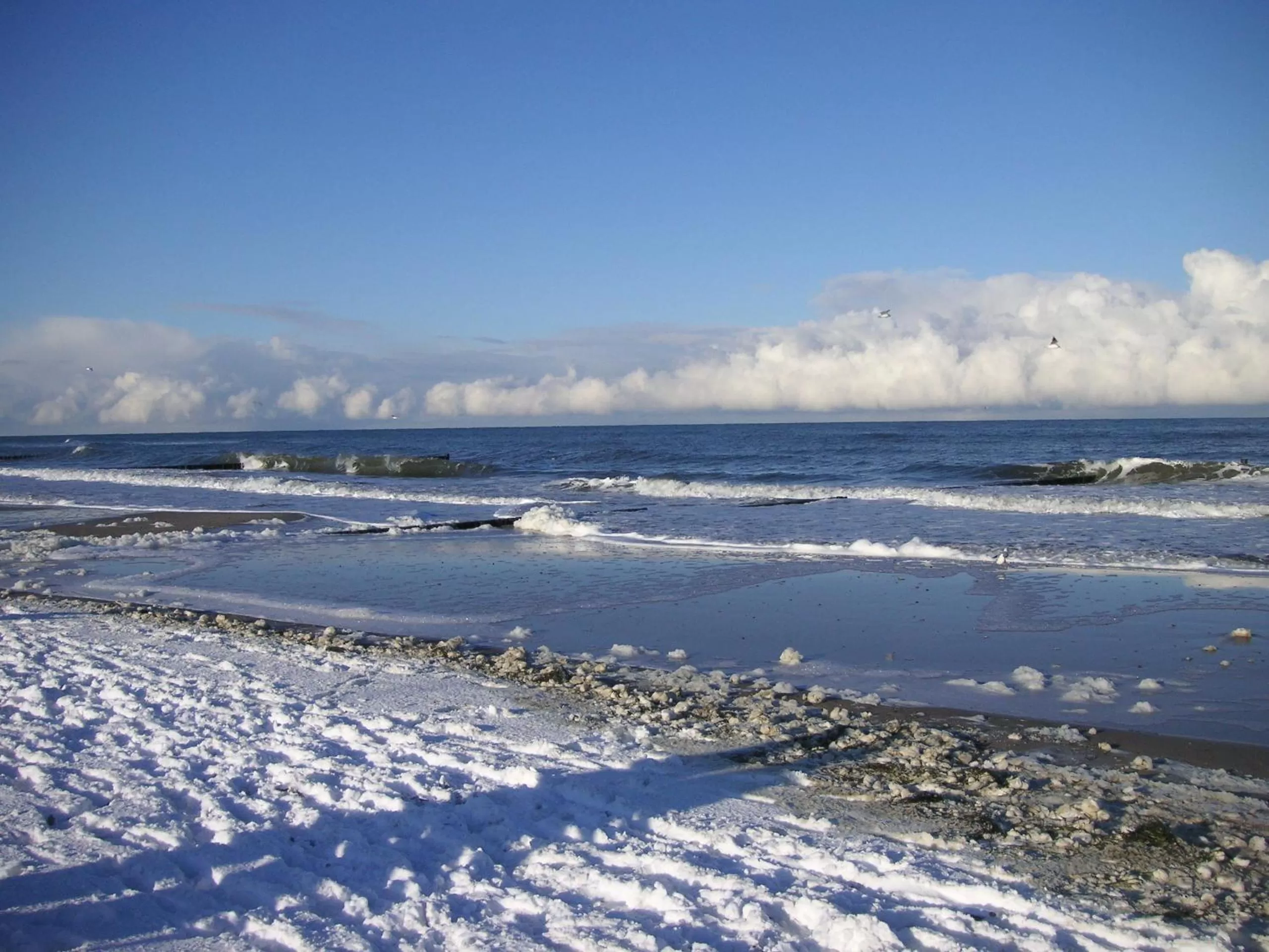 Area and facilities in Am Weststrand Aparthotel Kühlungsborn