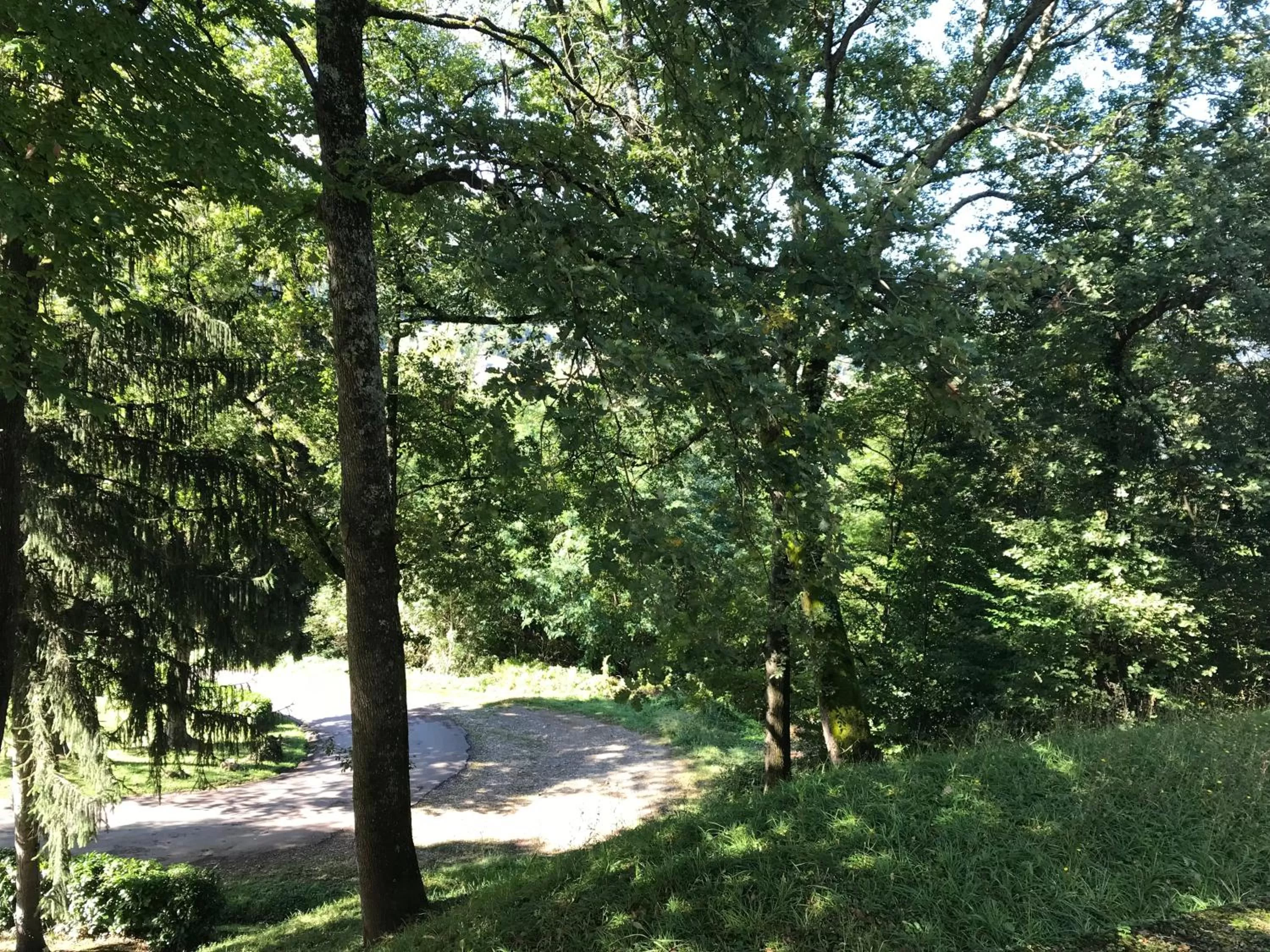 View (from property/room) in Les chambres et studios Camping Parc de Paletès