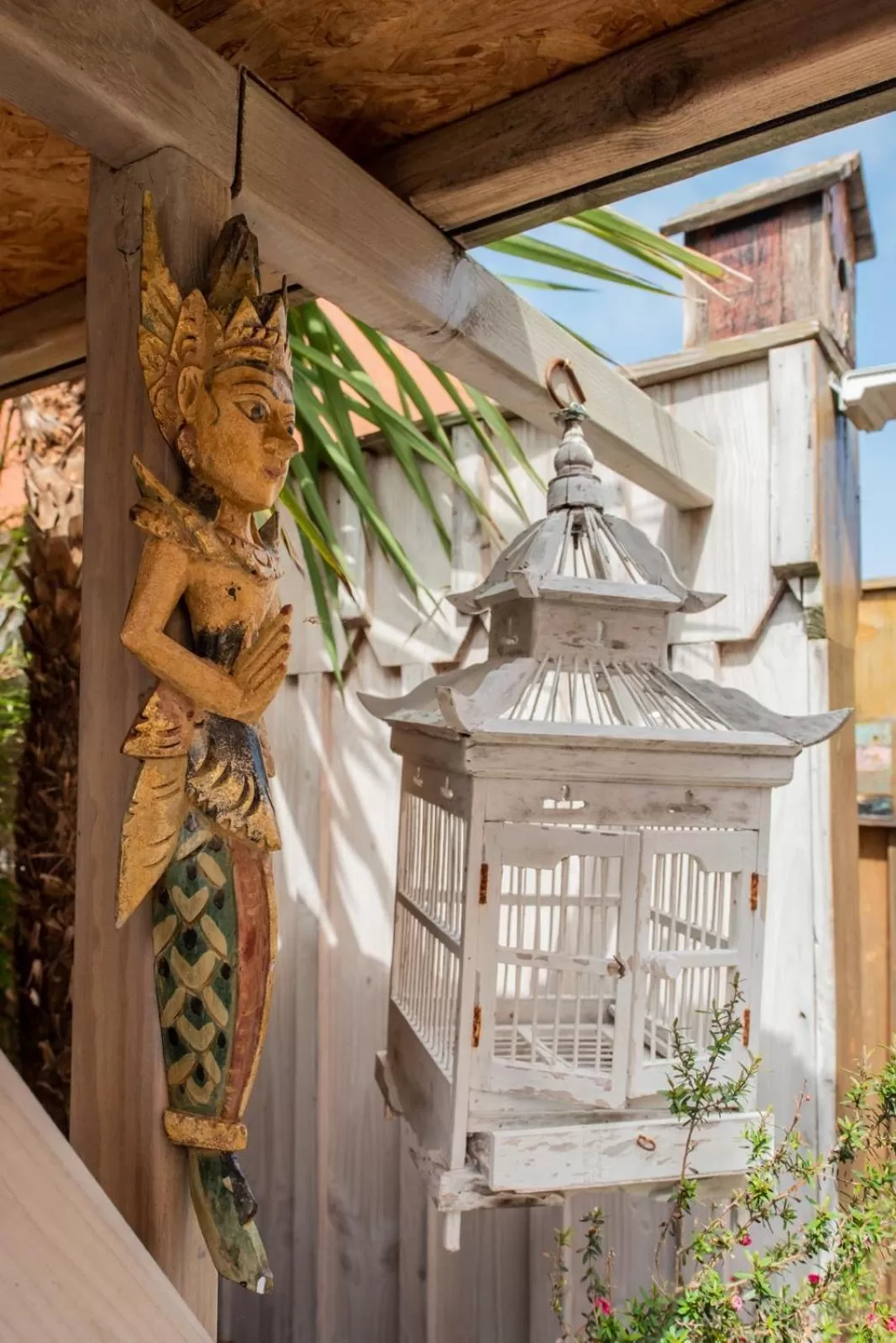 Patio in VILLA ZENITH Hostel - LA MAISON