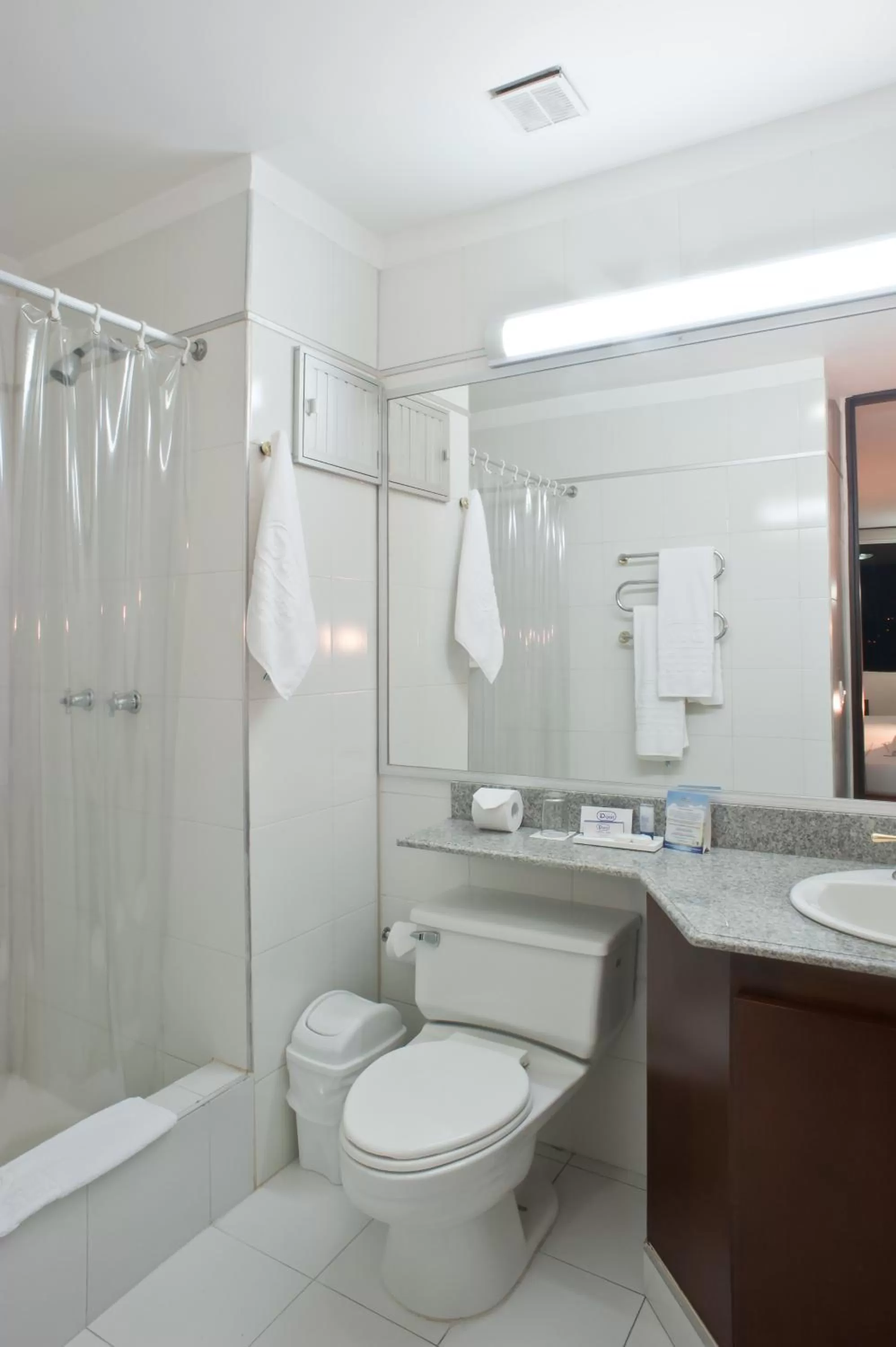 Bathroom in Hotel Dann Combeima