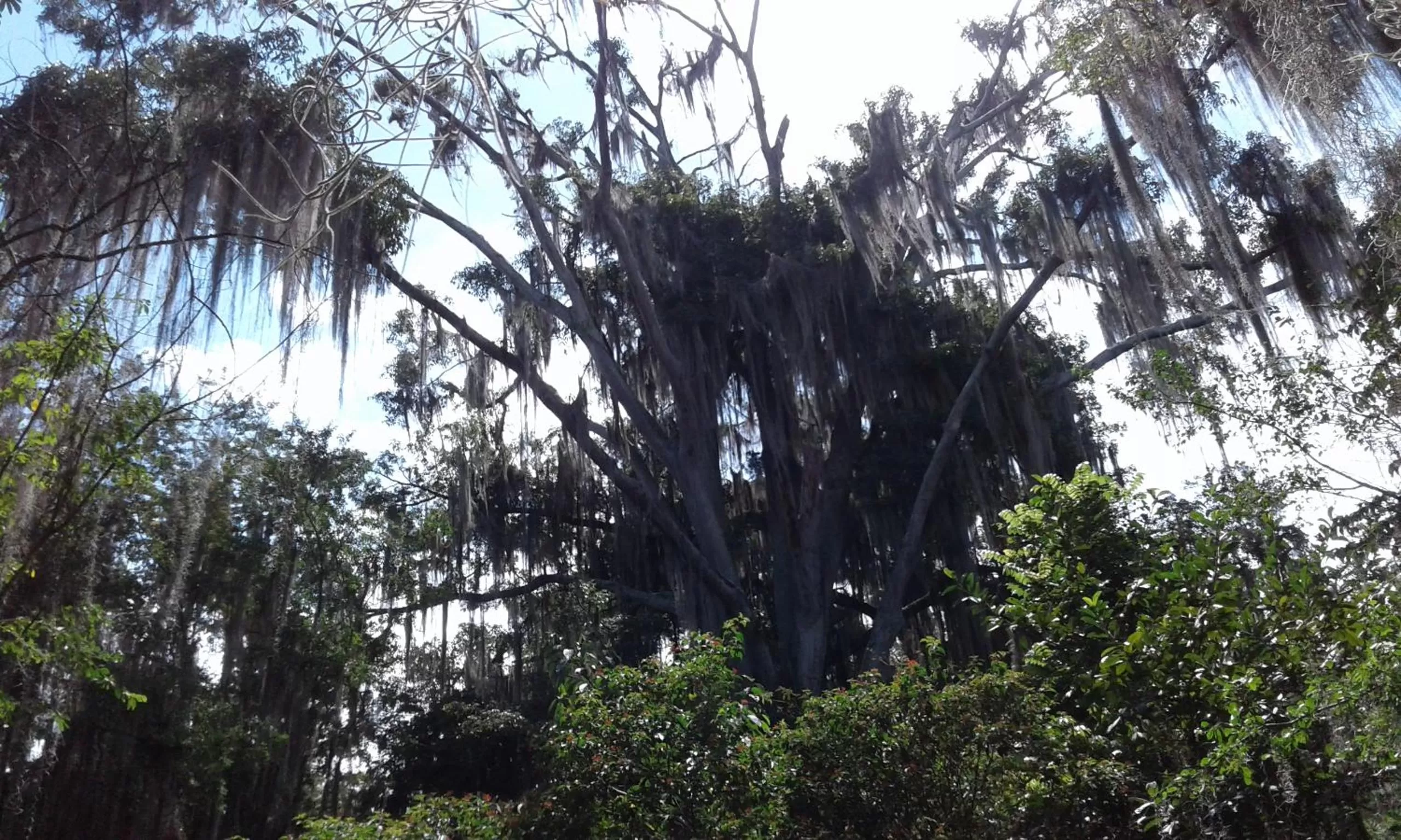 Activities in Hotel Real Pólux