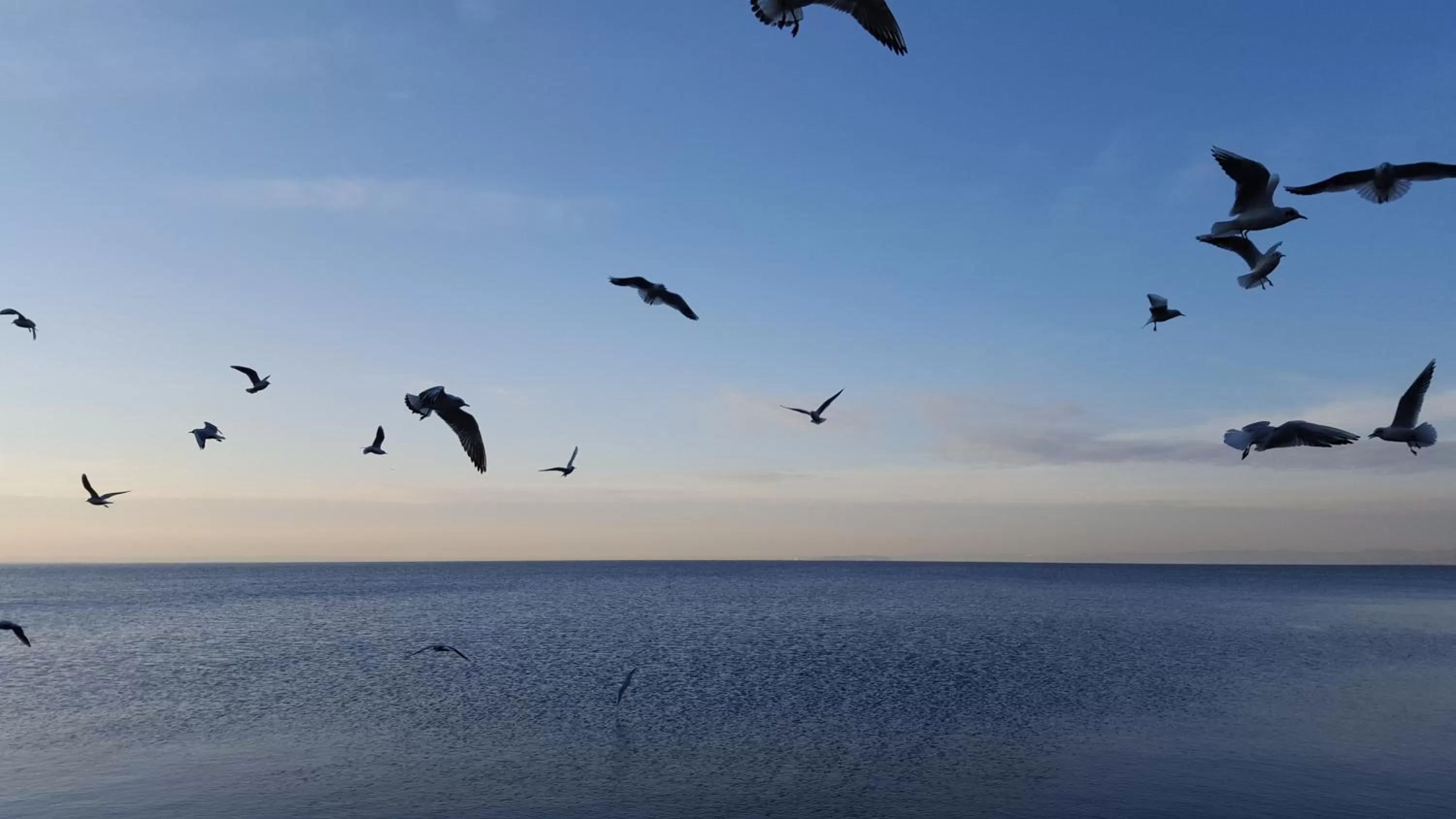 Nearby landmark in Casa Lady