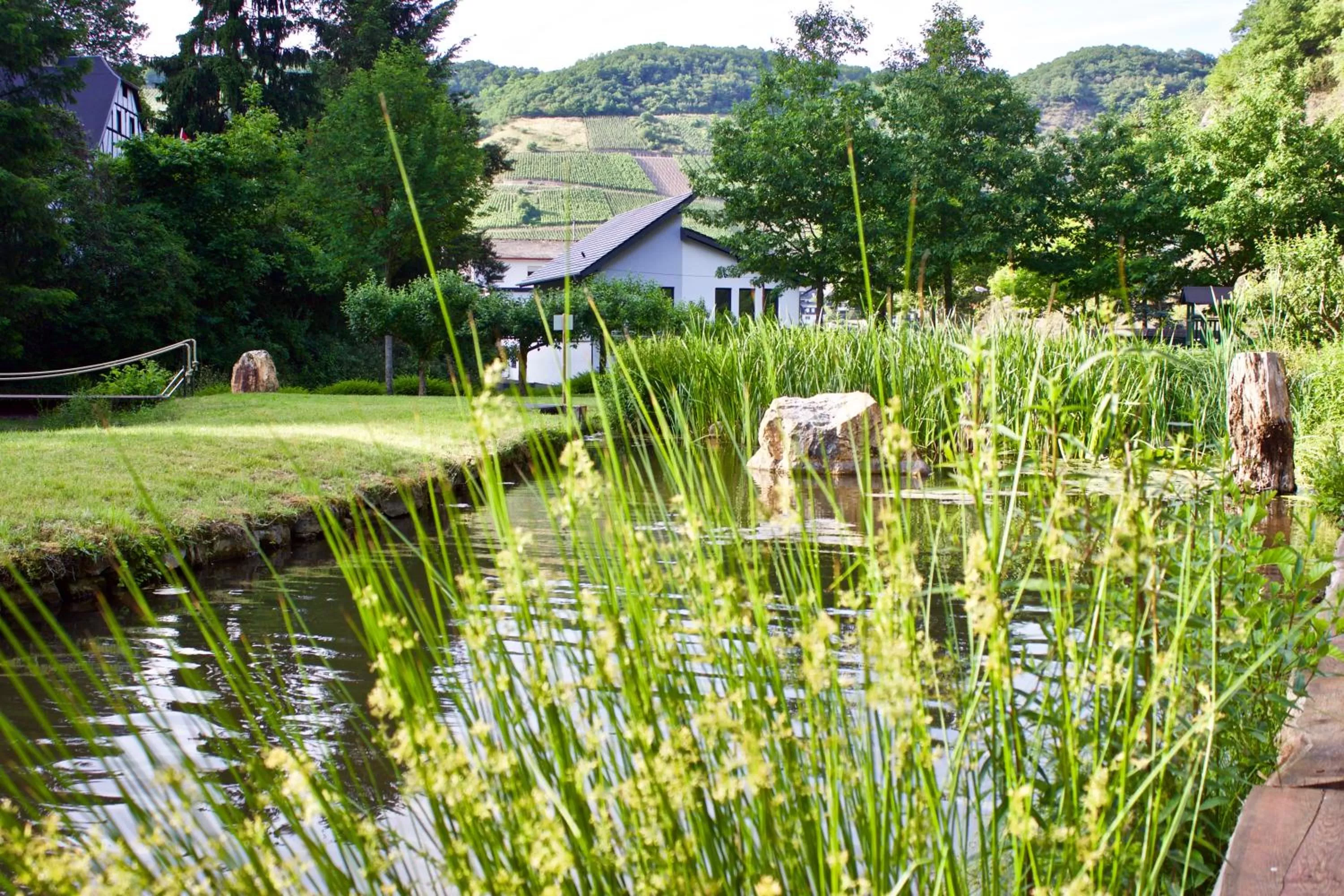Natural landscape in Hotel Ostermann