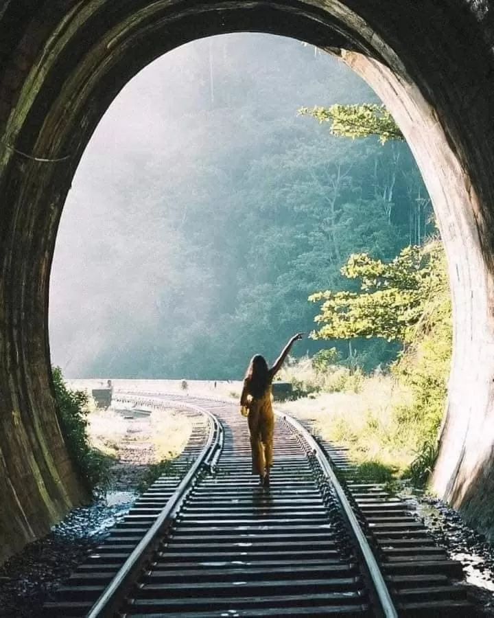 Ella Lucky Panoramic