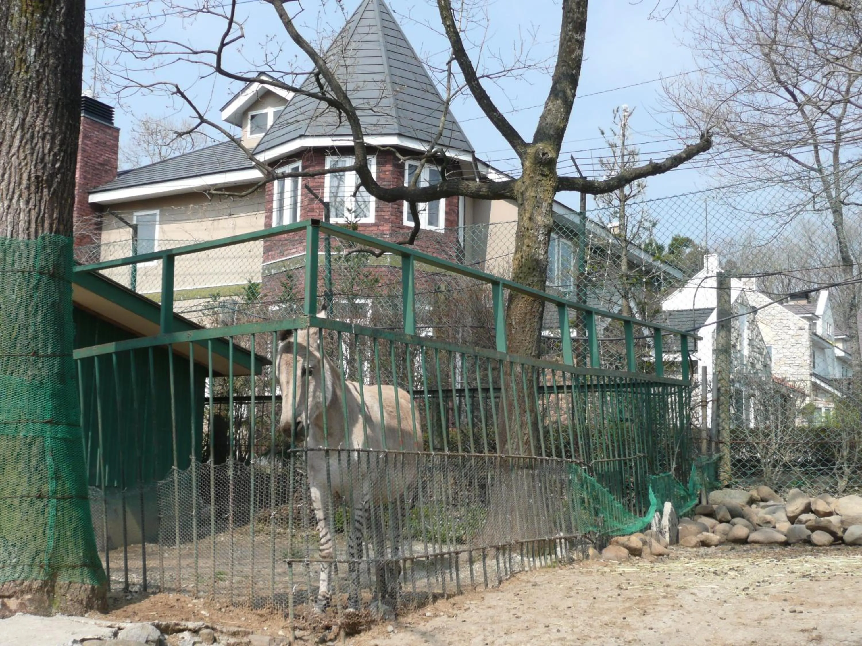 Property building in Scotch Court