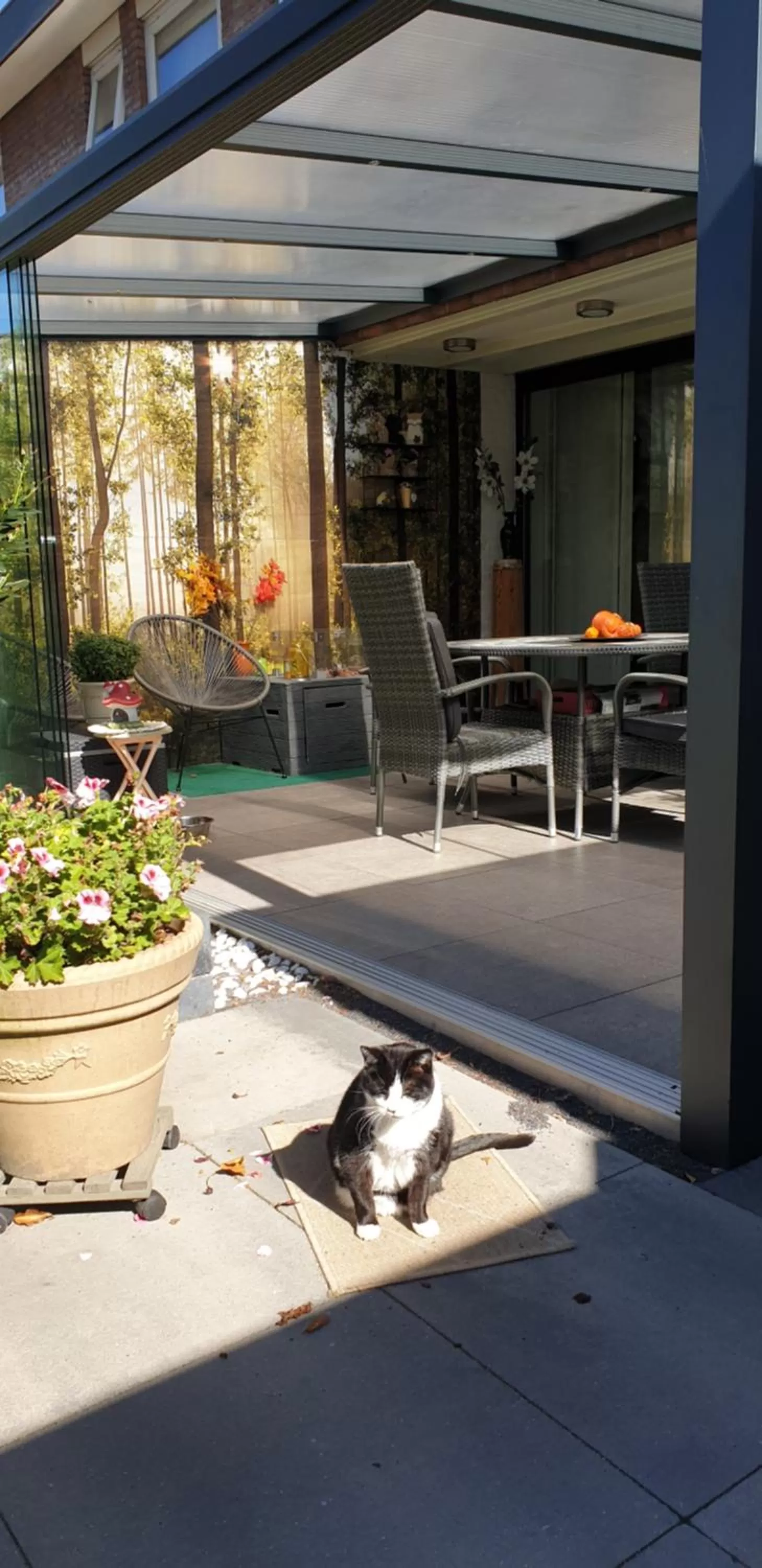 Breakfast in B&B Acacia