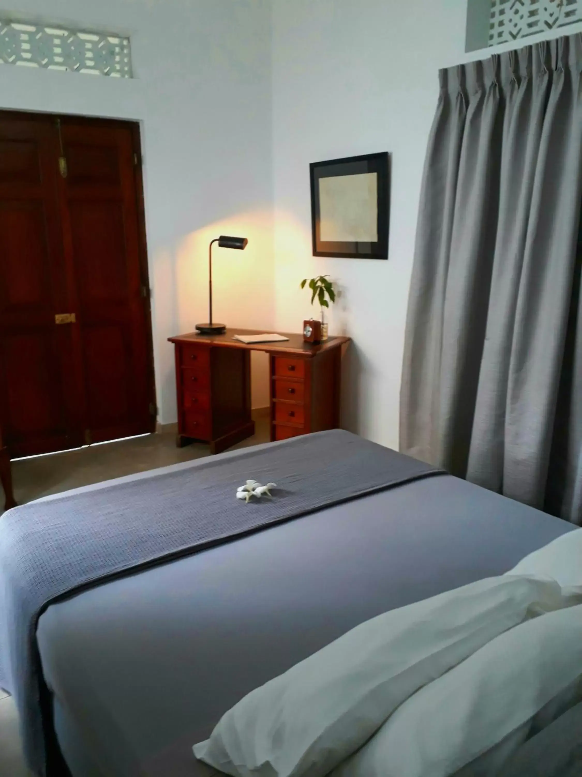 Deluxe Double Room - single occupancy in "27" Spathodea- Oasis in the City Deluxe Double Room - single occupancy in "27" Spathodea- Oasis in the City