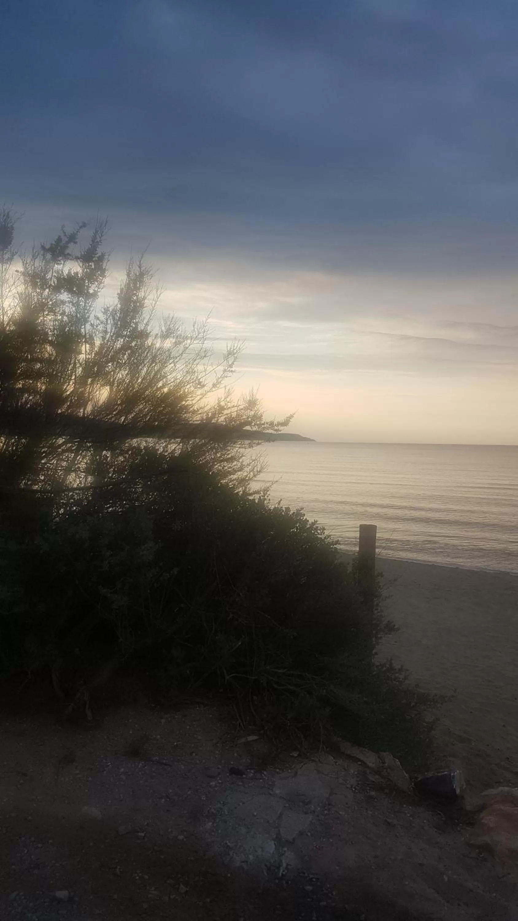 Beach in Hotel Le Golfe Bleu
