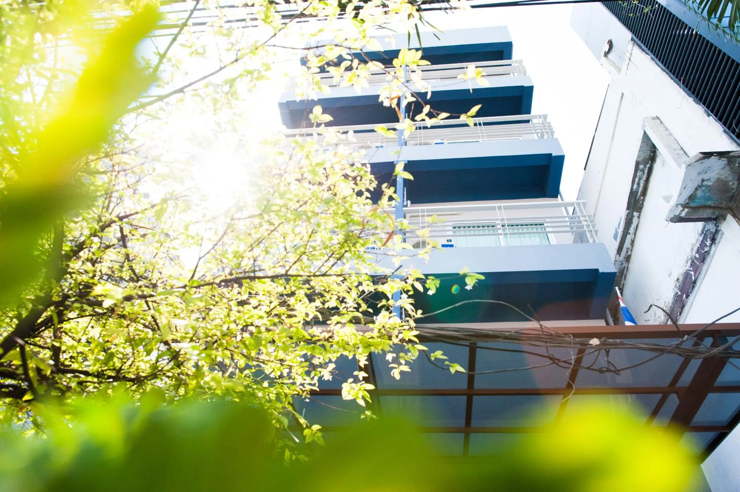 Decorative detail in KENCOZY accommodation