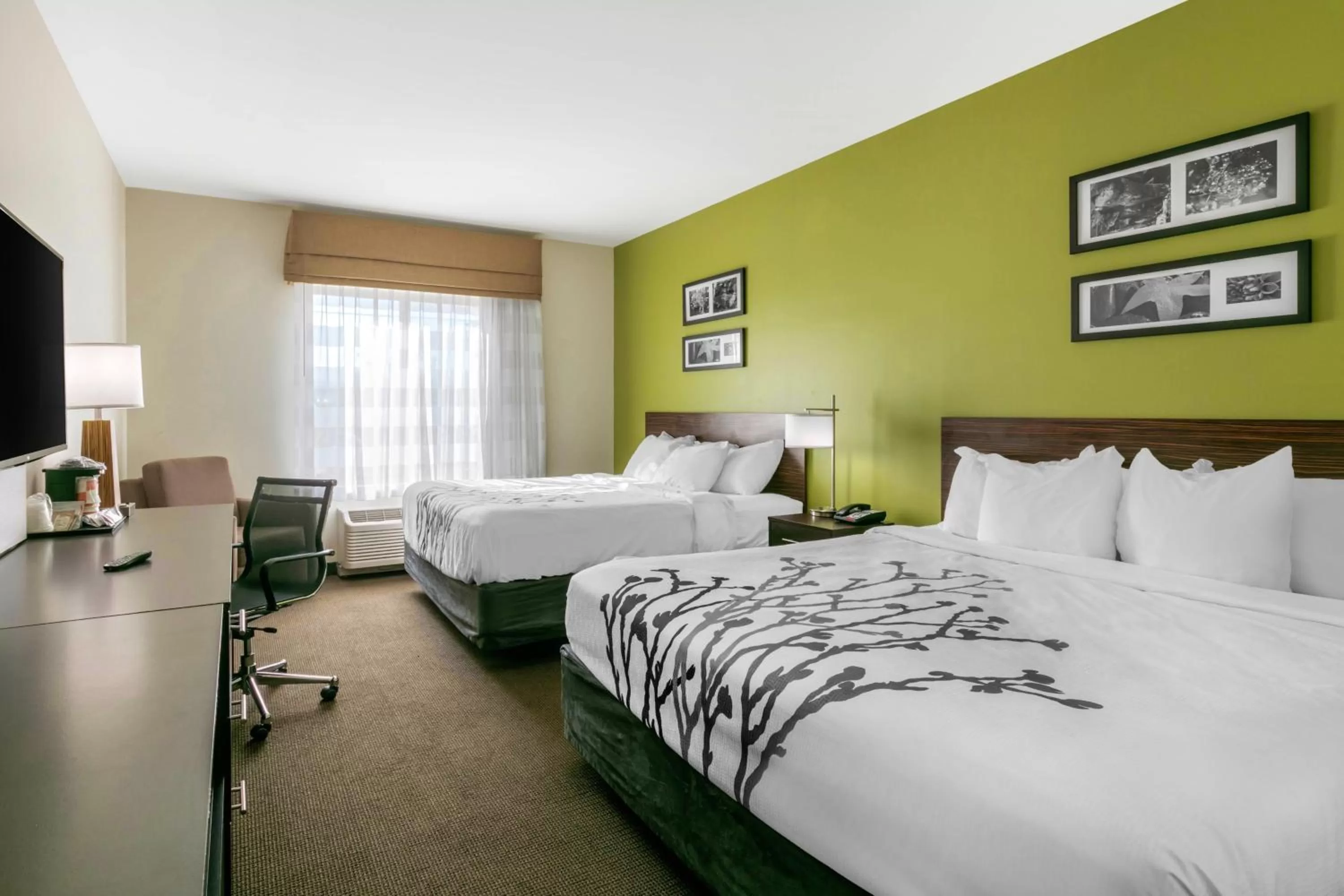 Queen Room with Two Queen Beds in Sleep Inn & Suites Columbia I-65