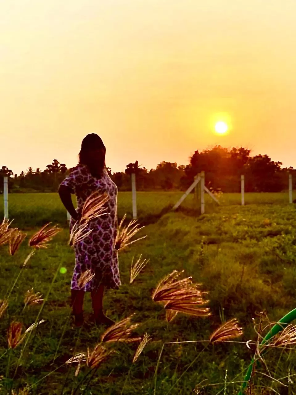 Neighbourhood in Marutham Village Resort