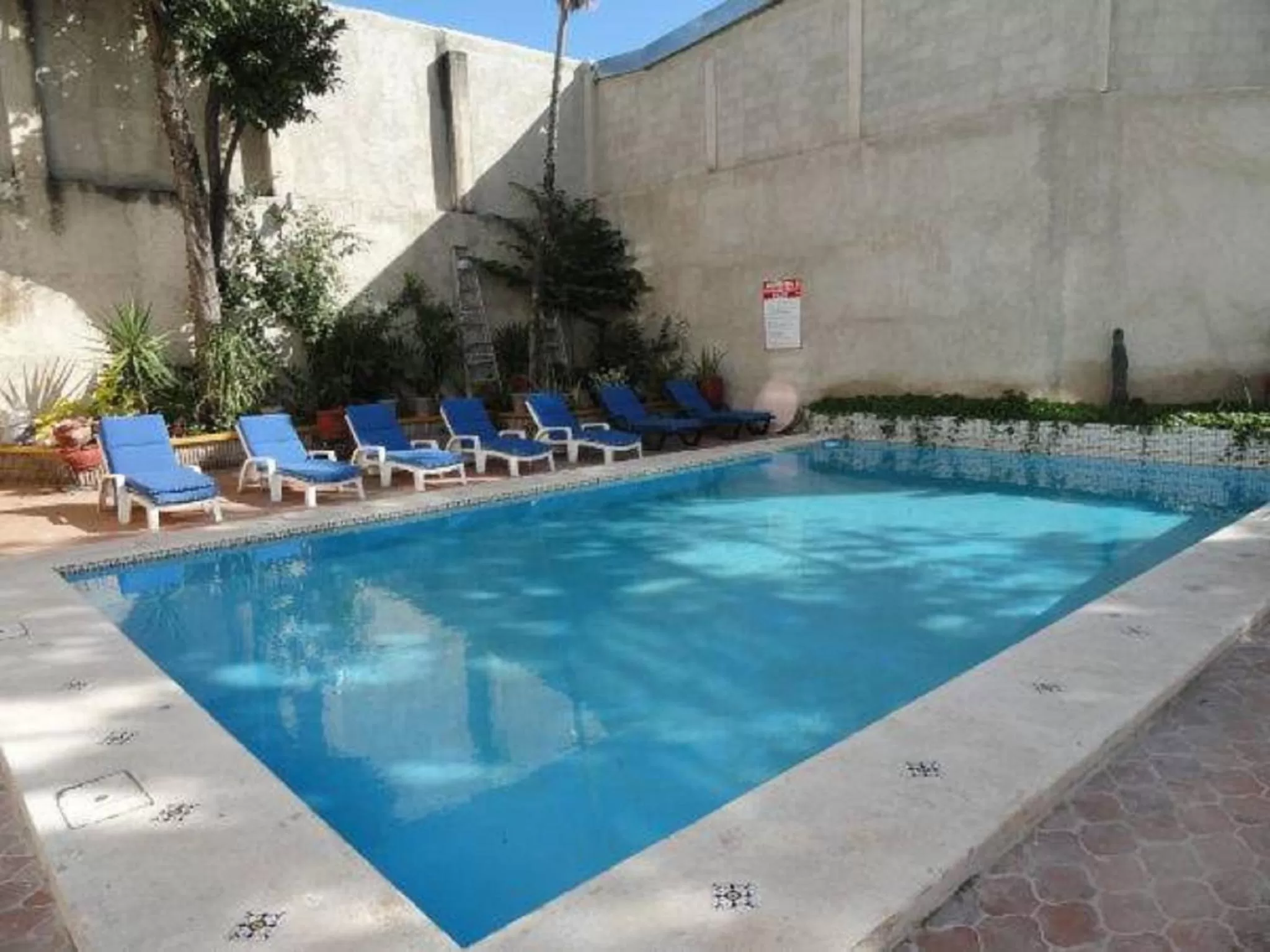 Swimming pool in Hotel Las Dalias Inn
