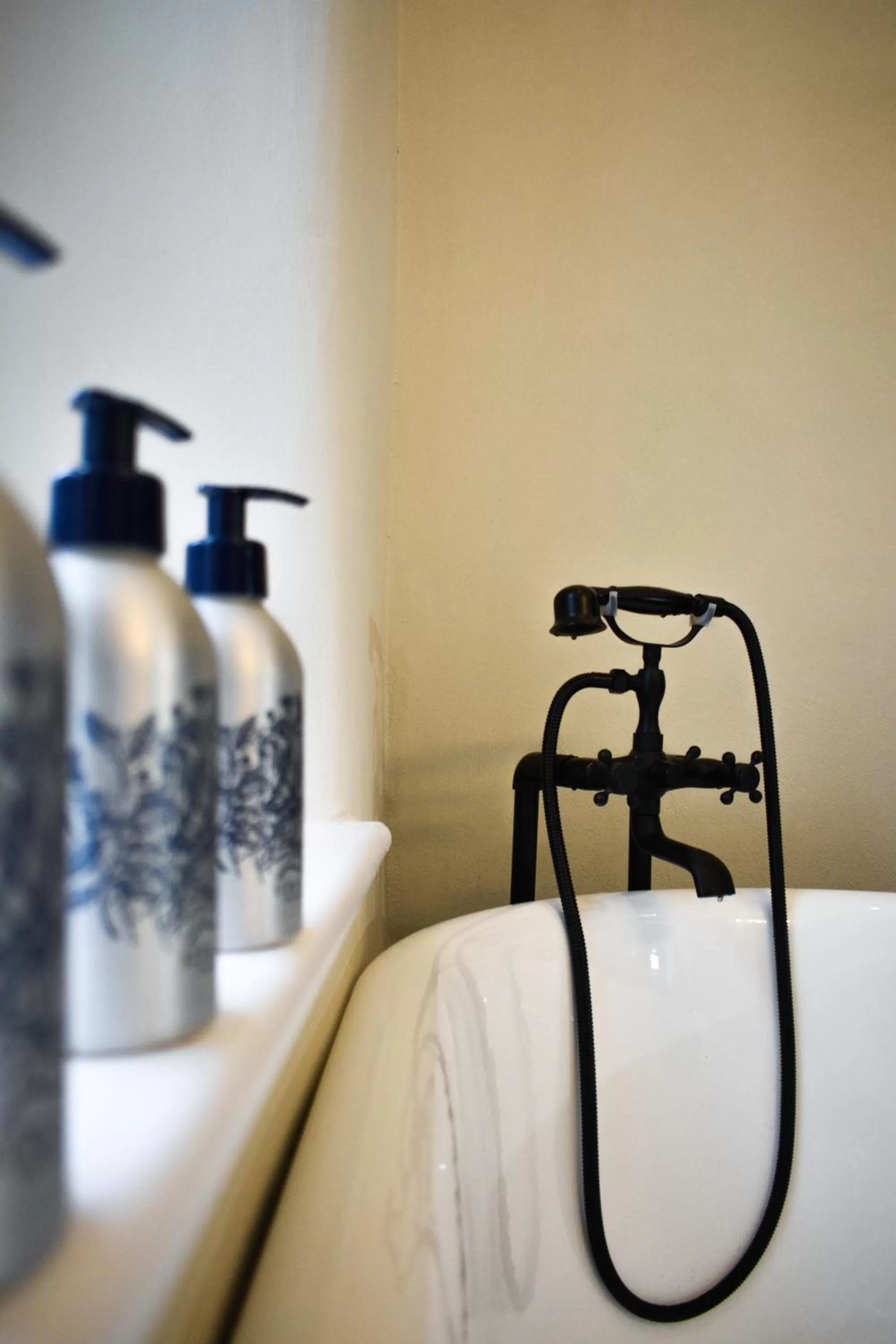 Bath in Plas Dolguog