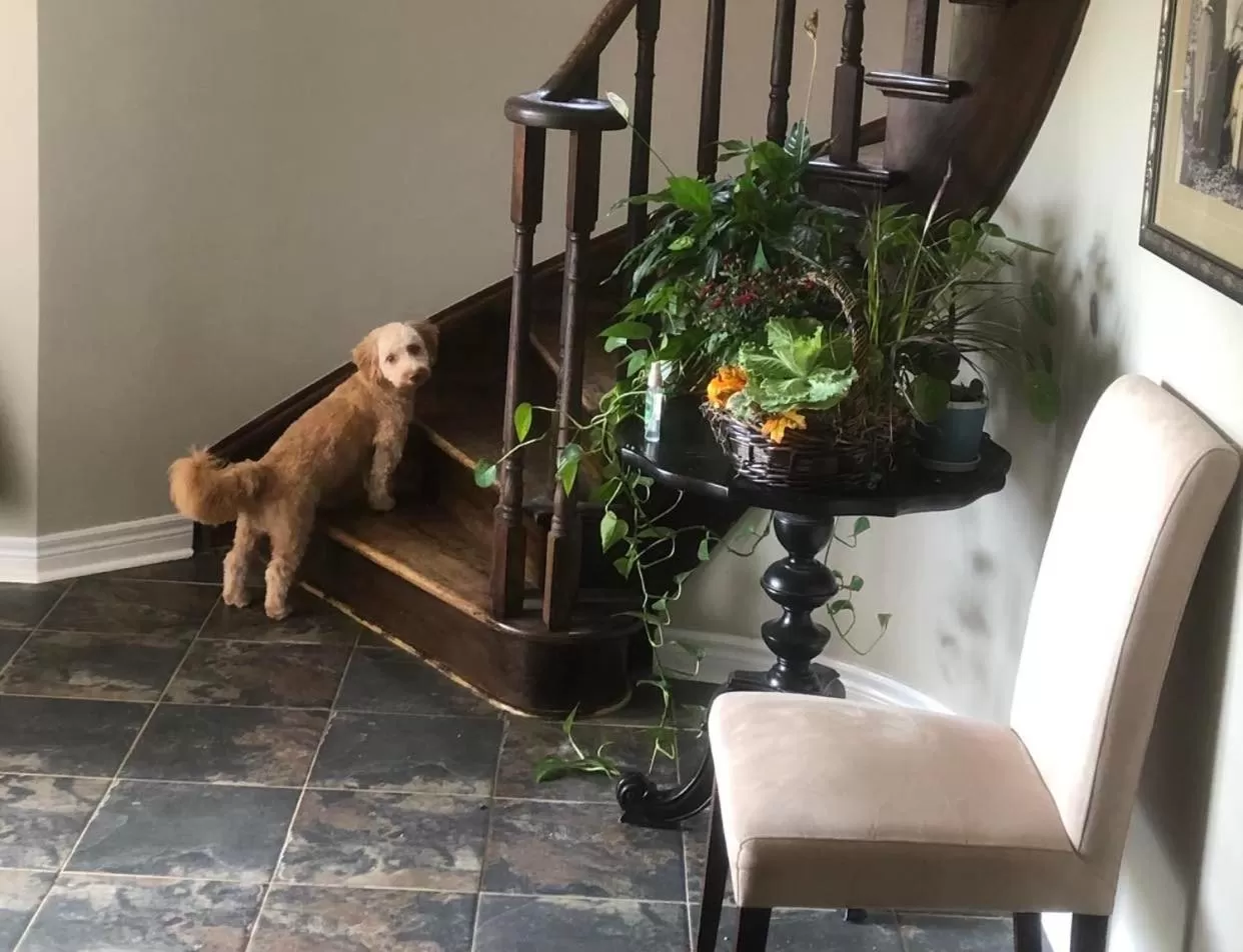 Property building in Willow Pond Satellite B&B