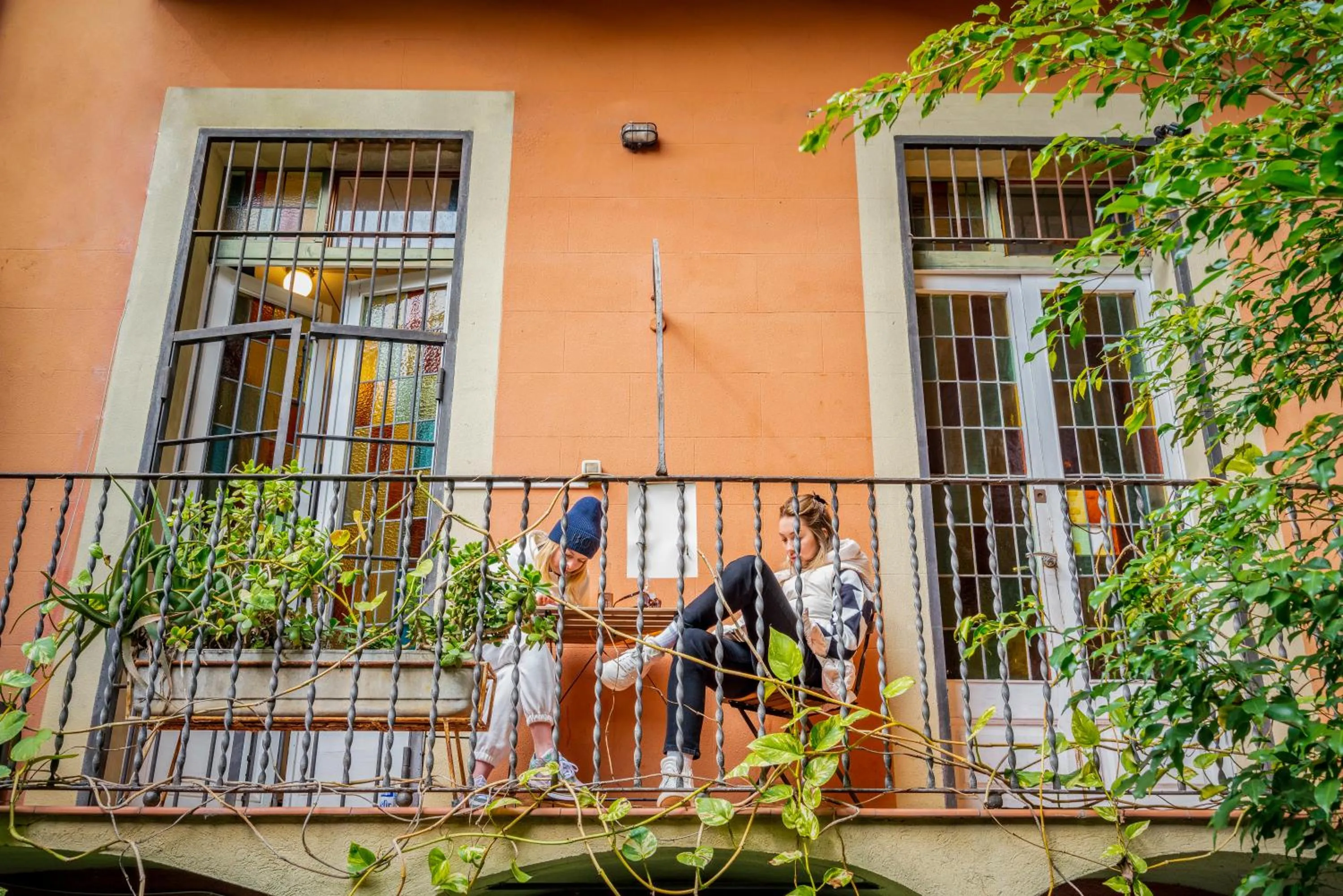 Garden in Casa Barcelo Hostel Barcelona