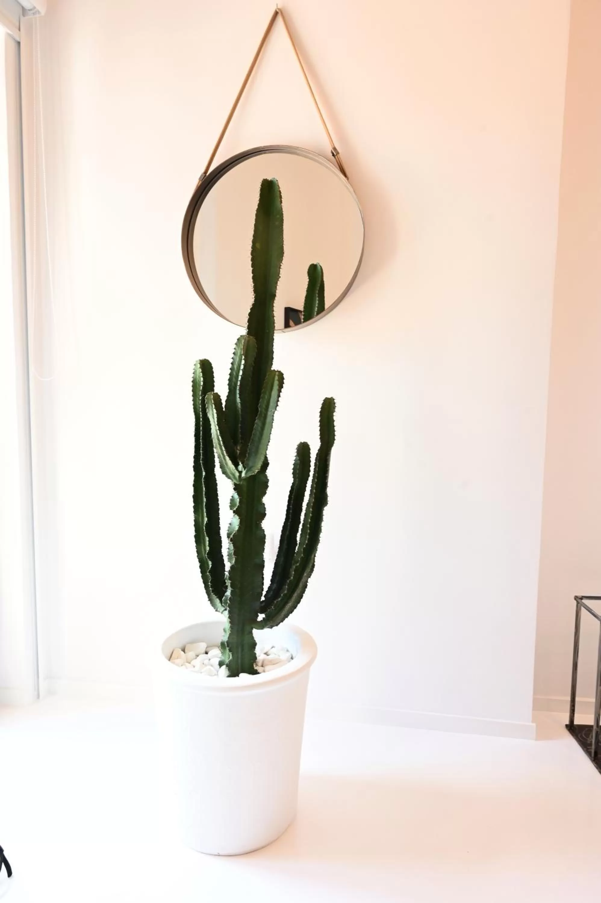 Property building in Clocktower Luxury Suites