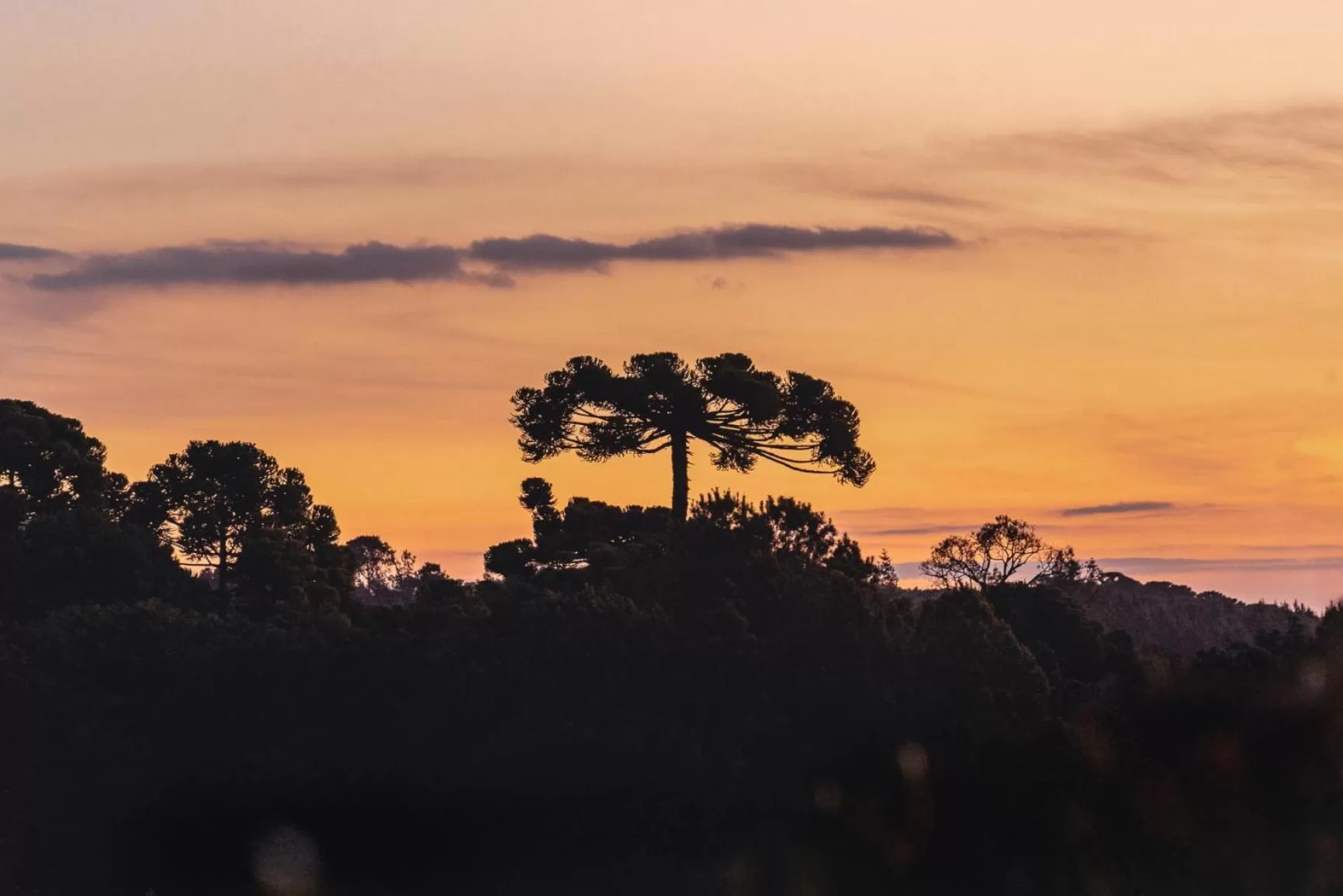 Mountain view in Hotel Meissner Hof