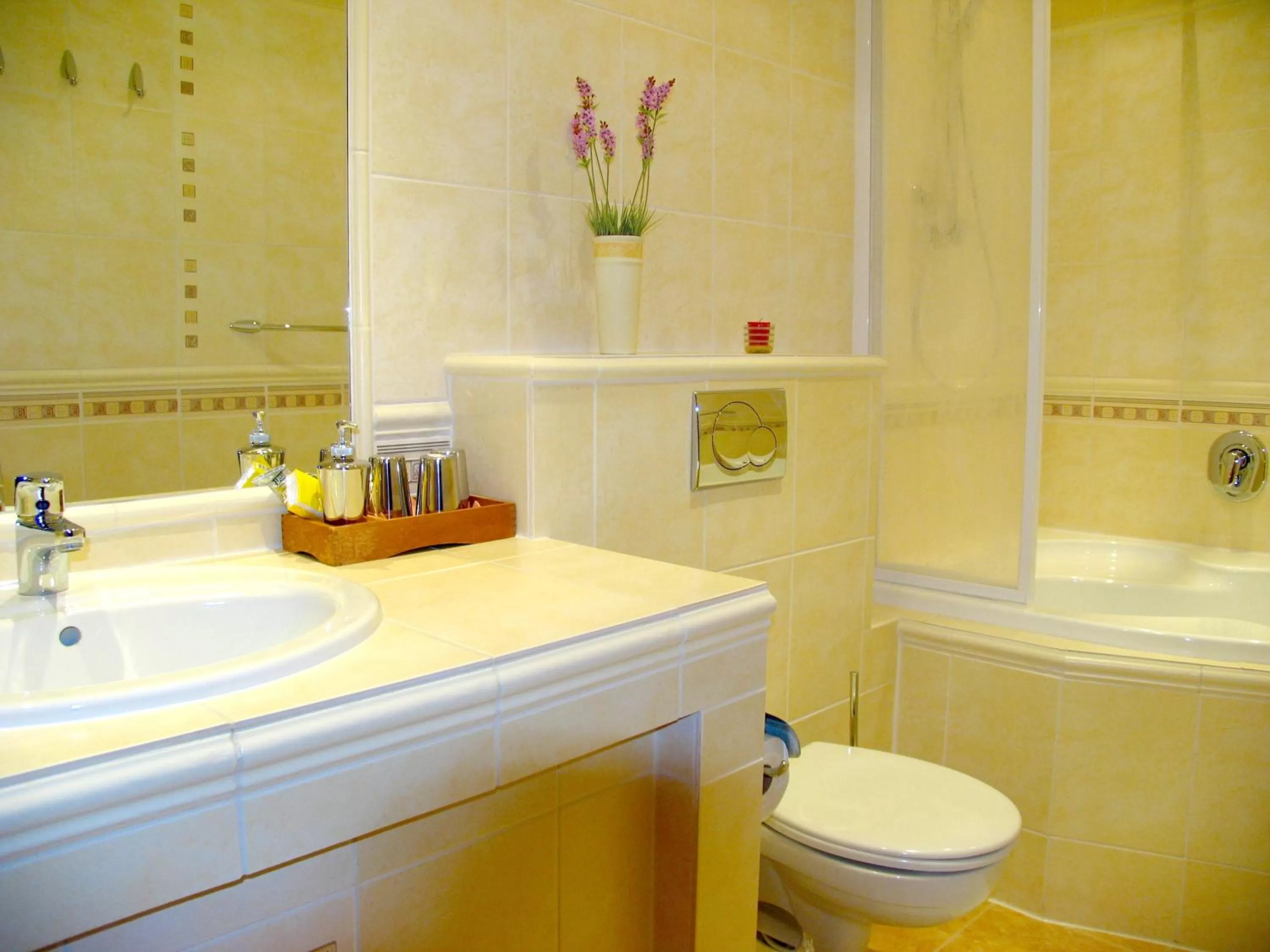 Bathroom in Hotel Roudna