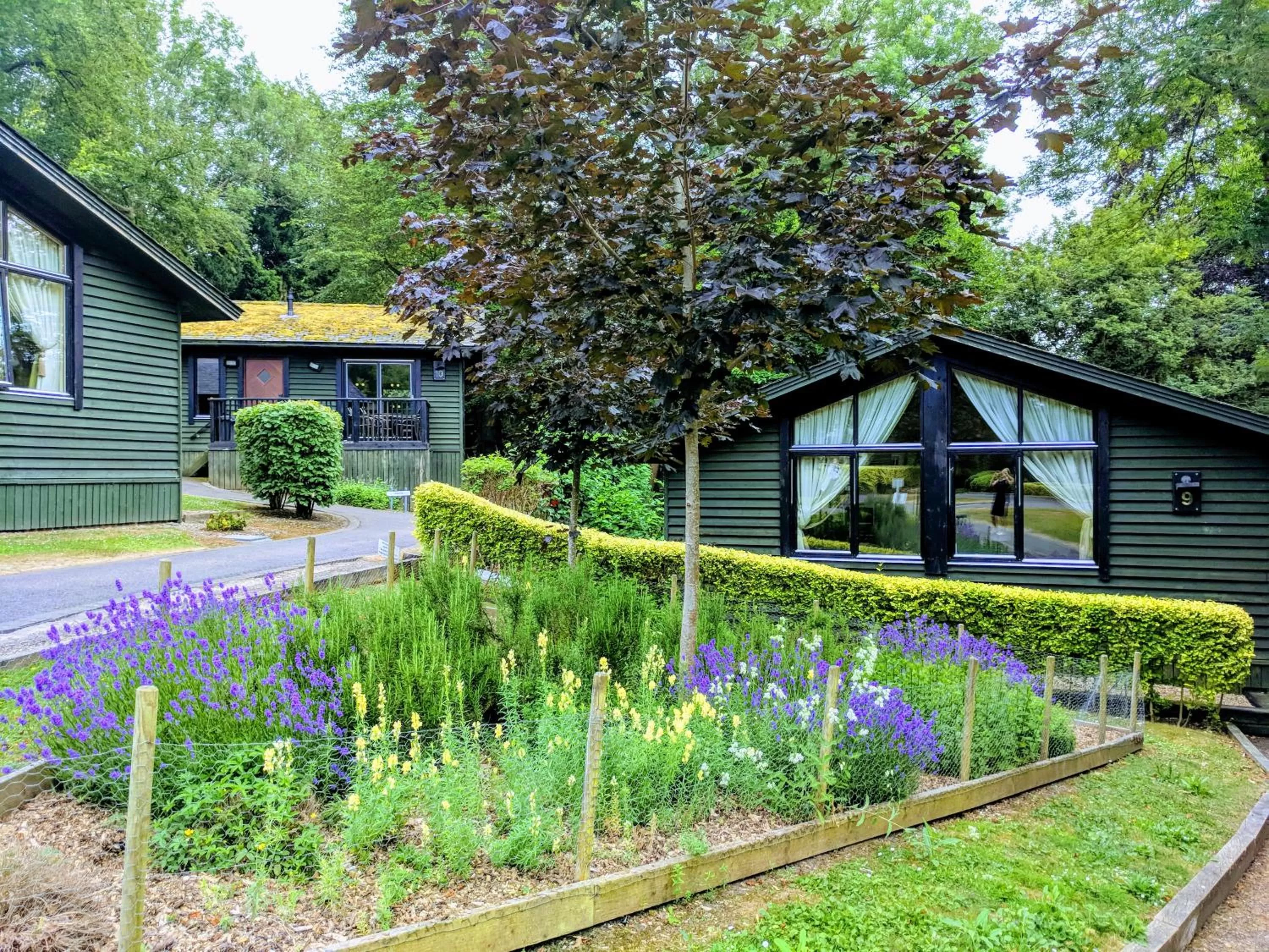 Garden in Broome Park Hotel