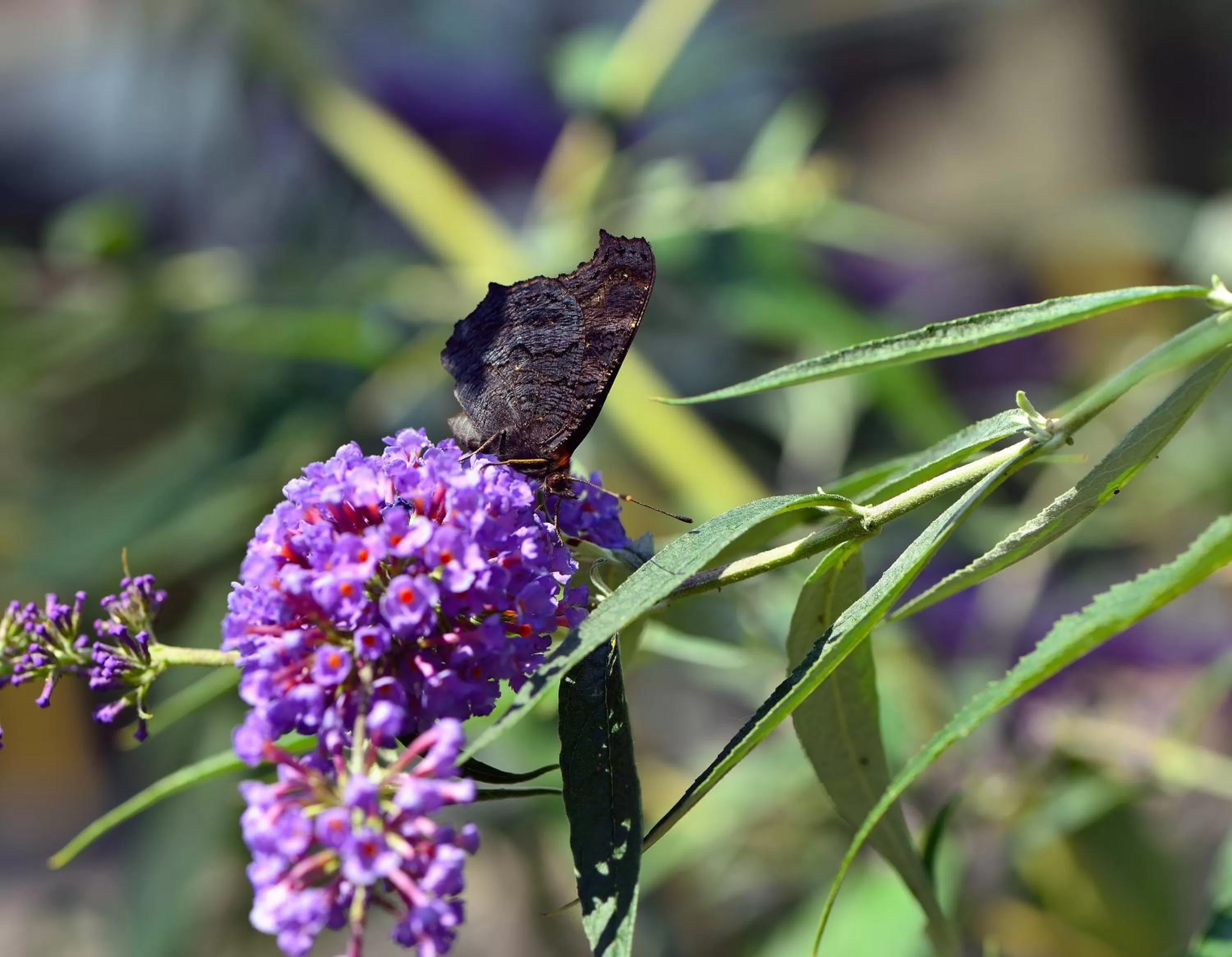 Facade/entrance in ARTHOTEL Kiebitzberg