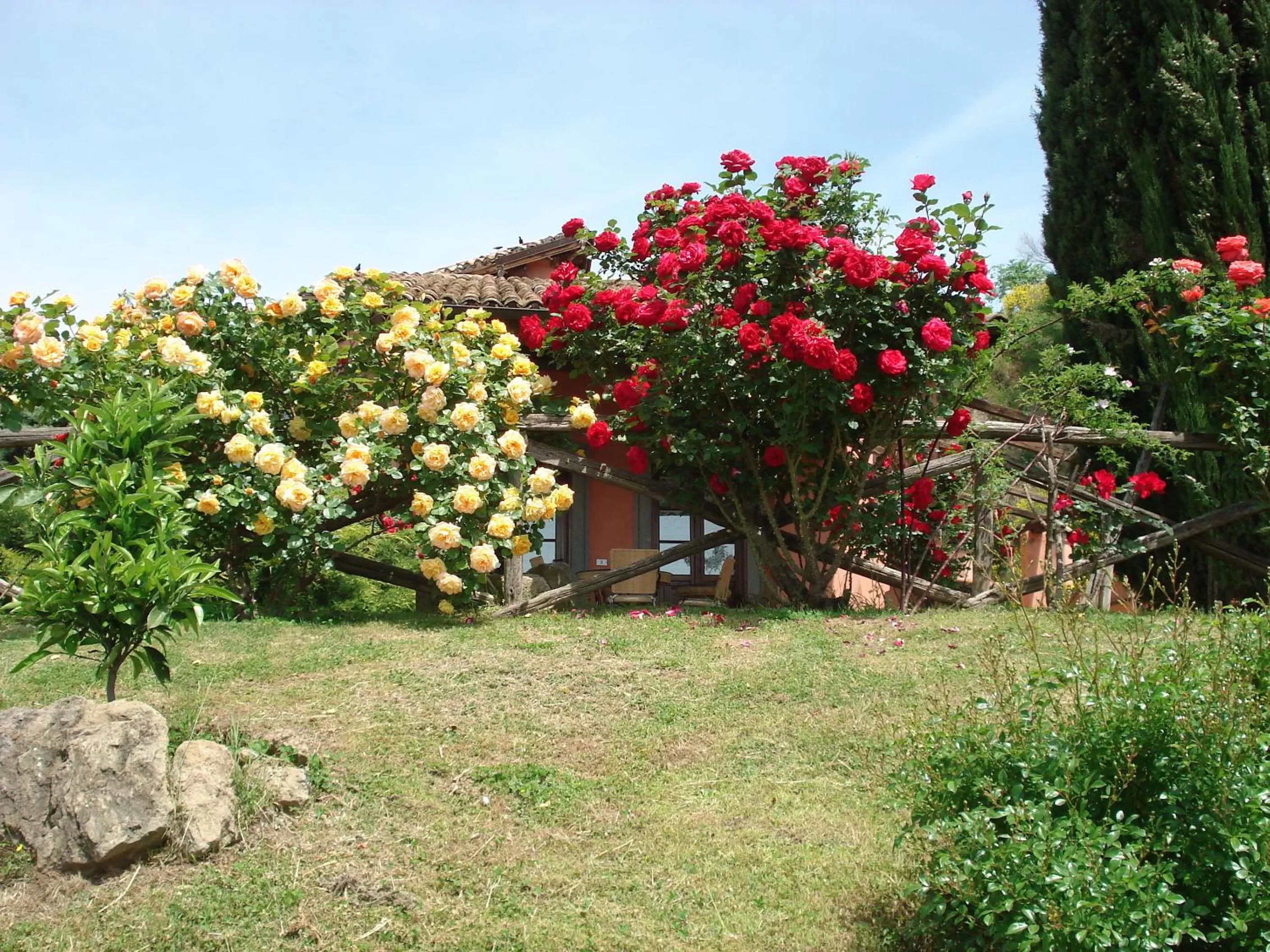 Garden in Antica Pietrara B&B