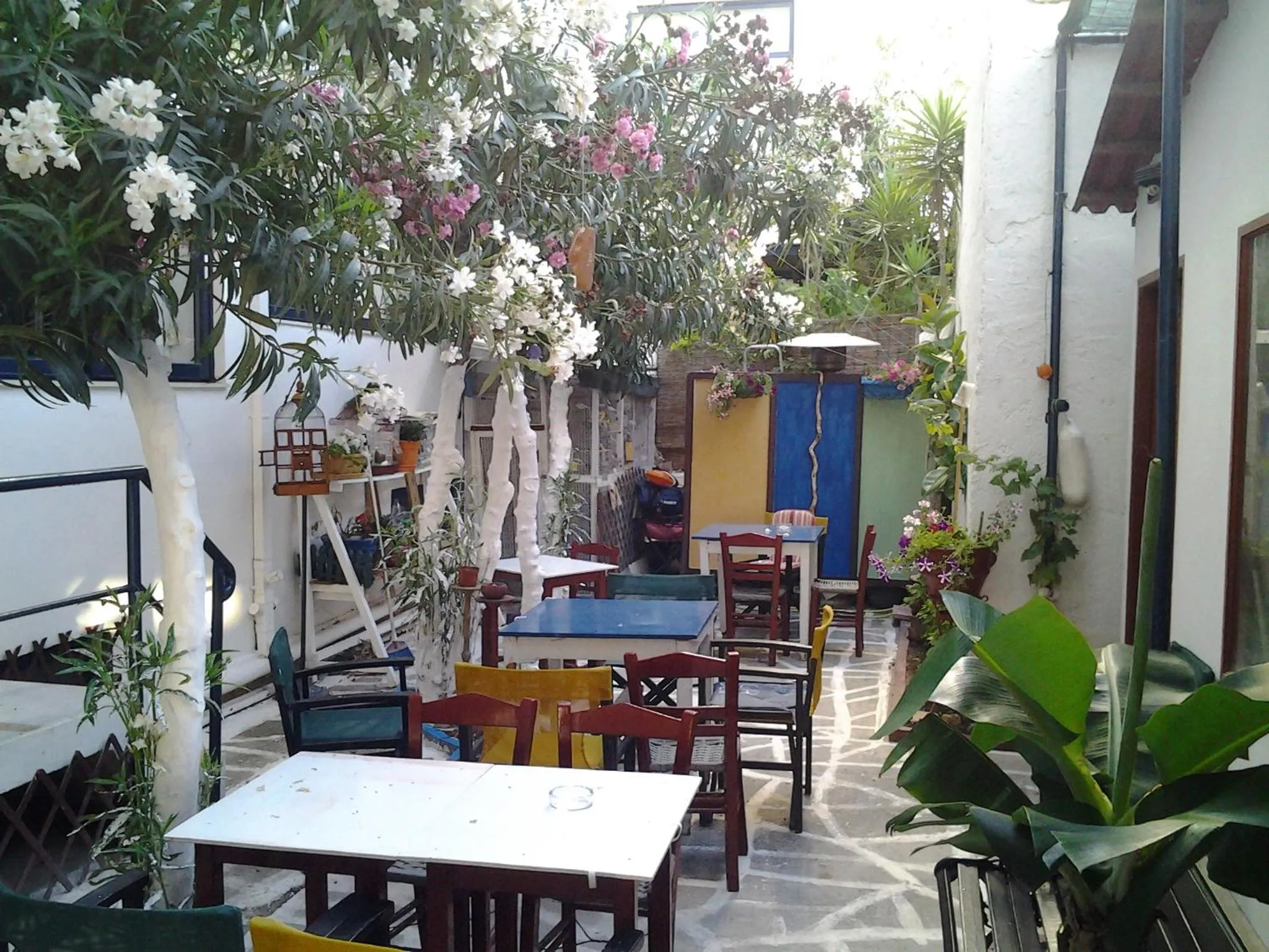 Garden in Danaos Hotel