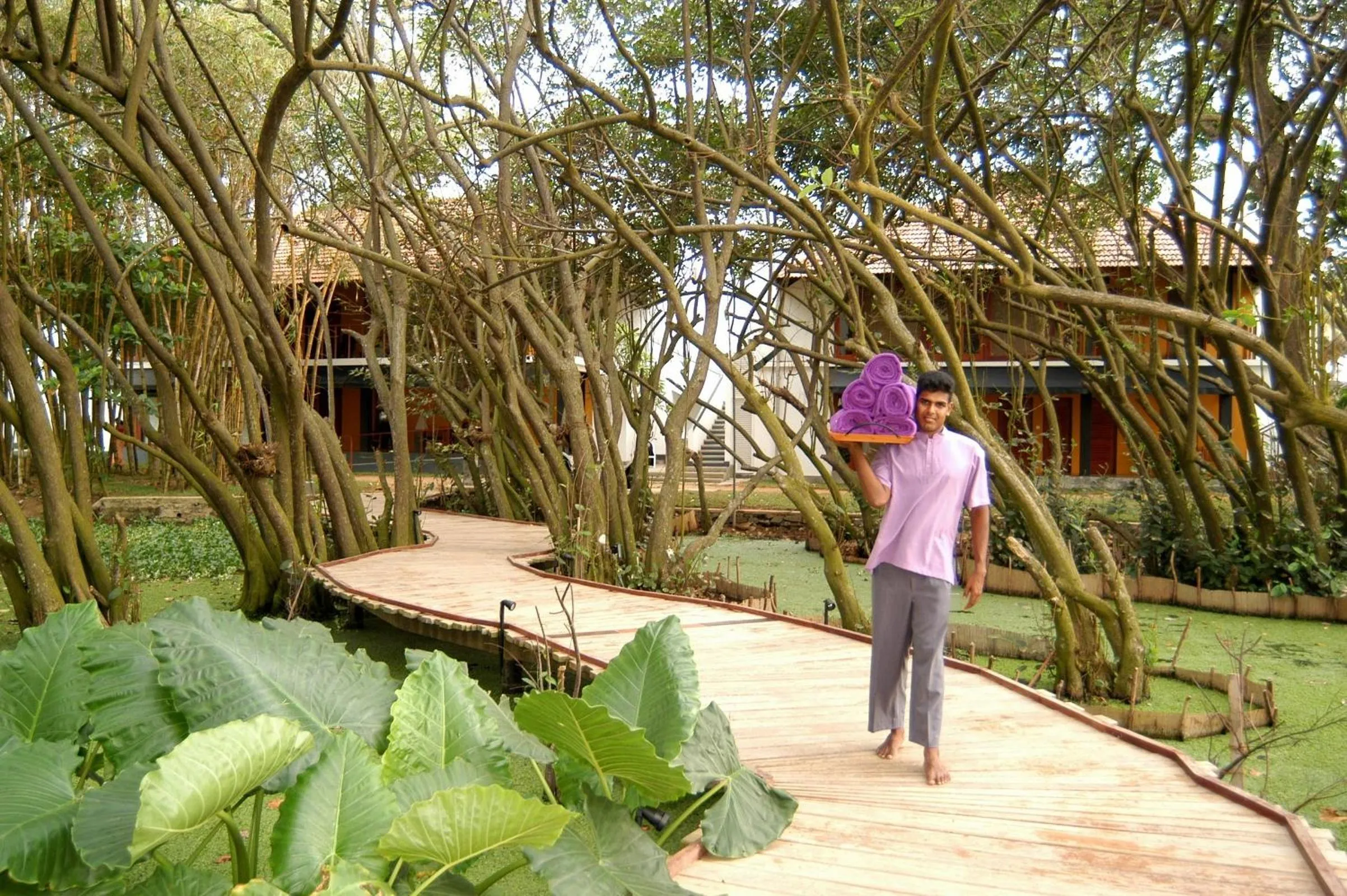 Garden in Tangerine Beach Hotel