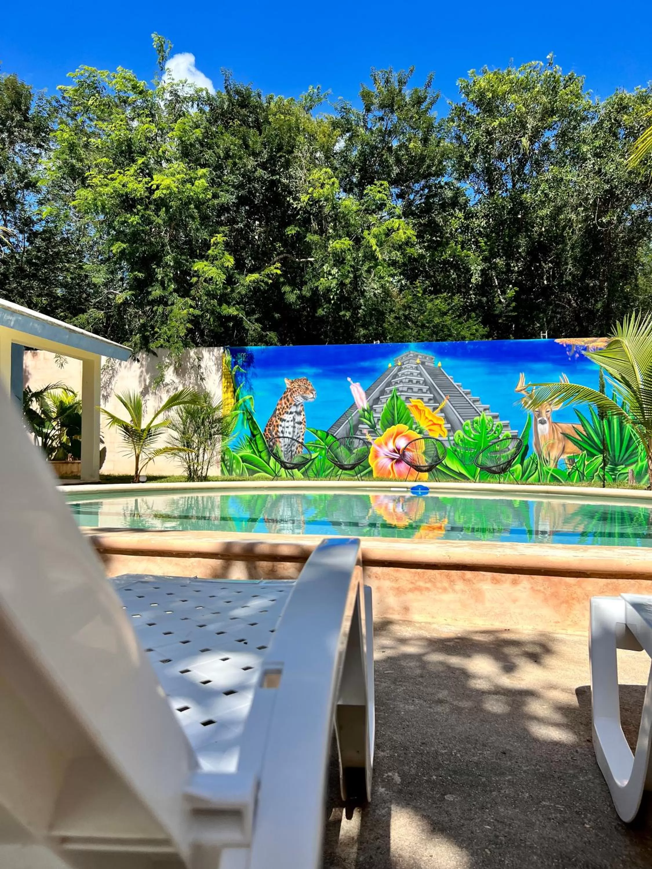 Garden, Pool View in CASA VICTORIA