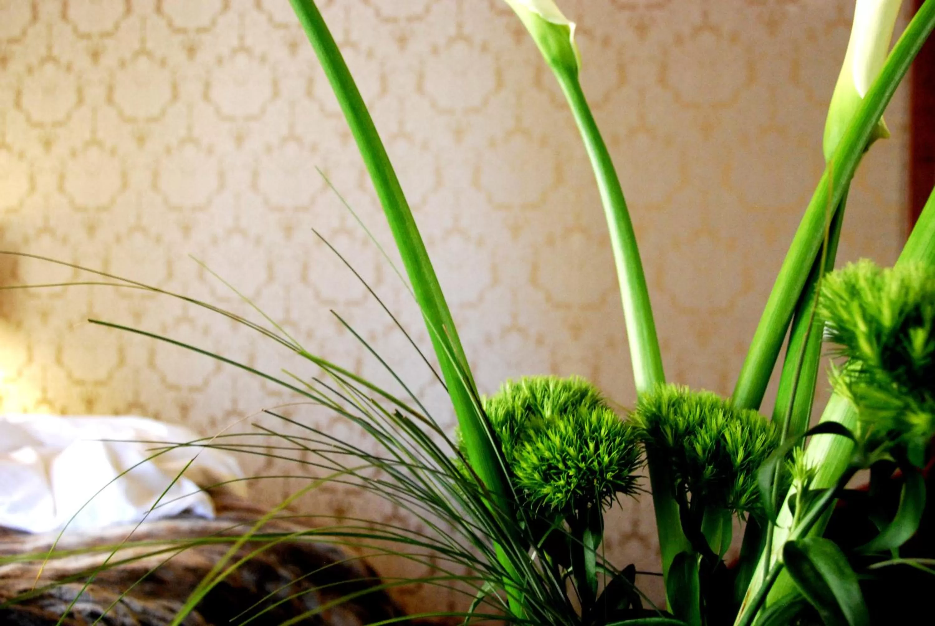 Other, Bed in Avogaria 5 Rooms