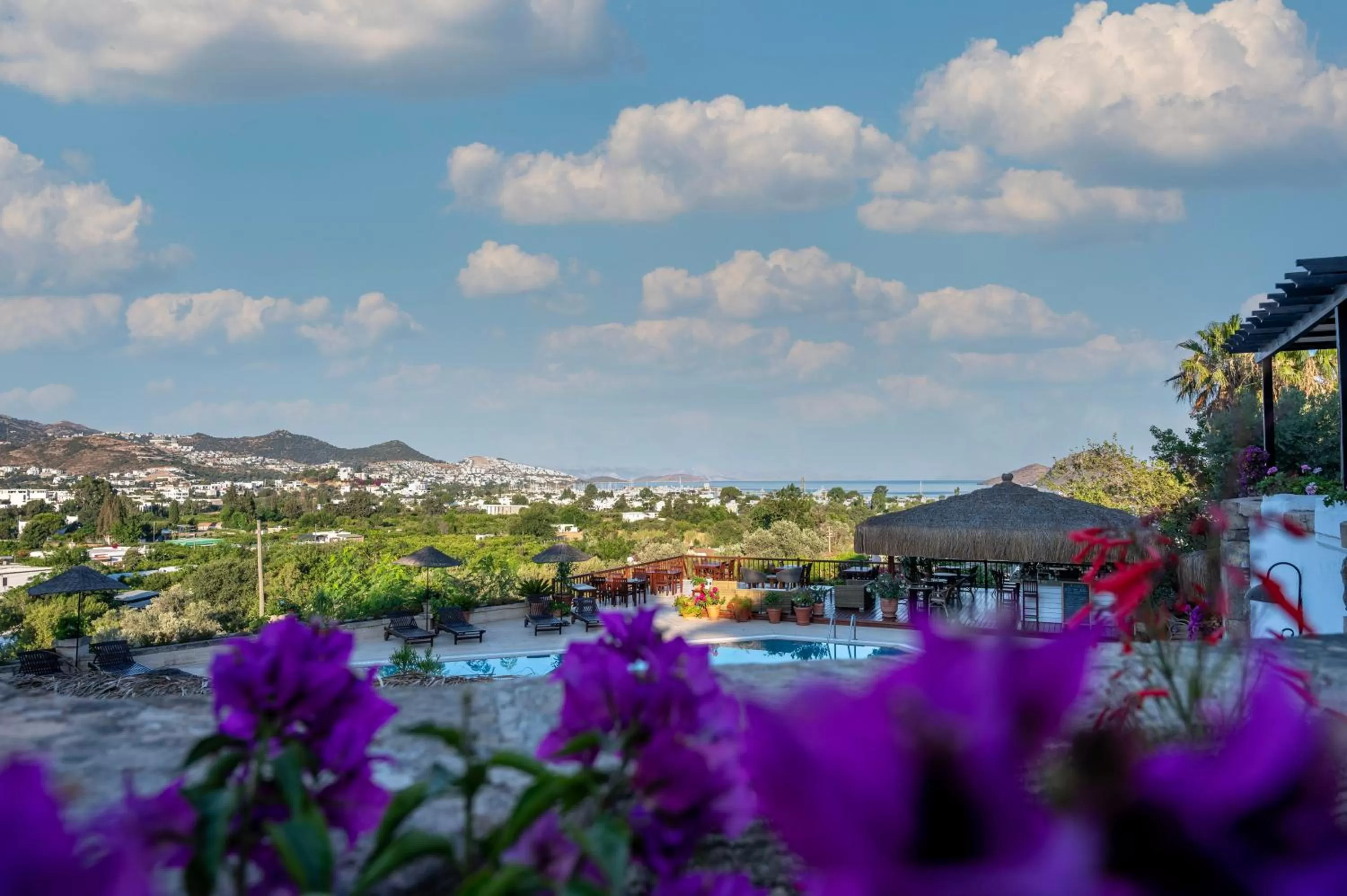 Natural landscape in 4reasons hotel + bistro | 12+